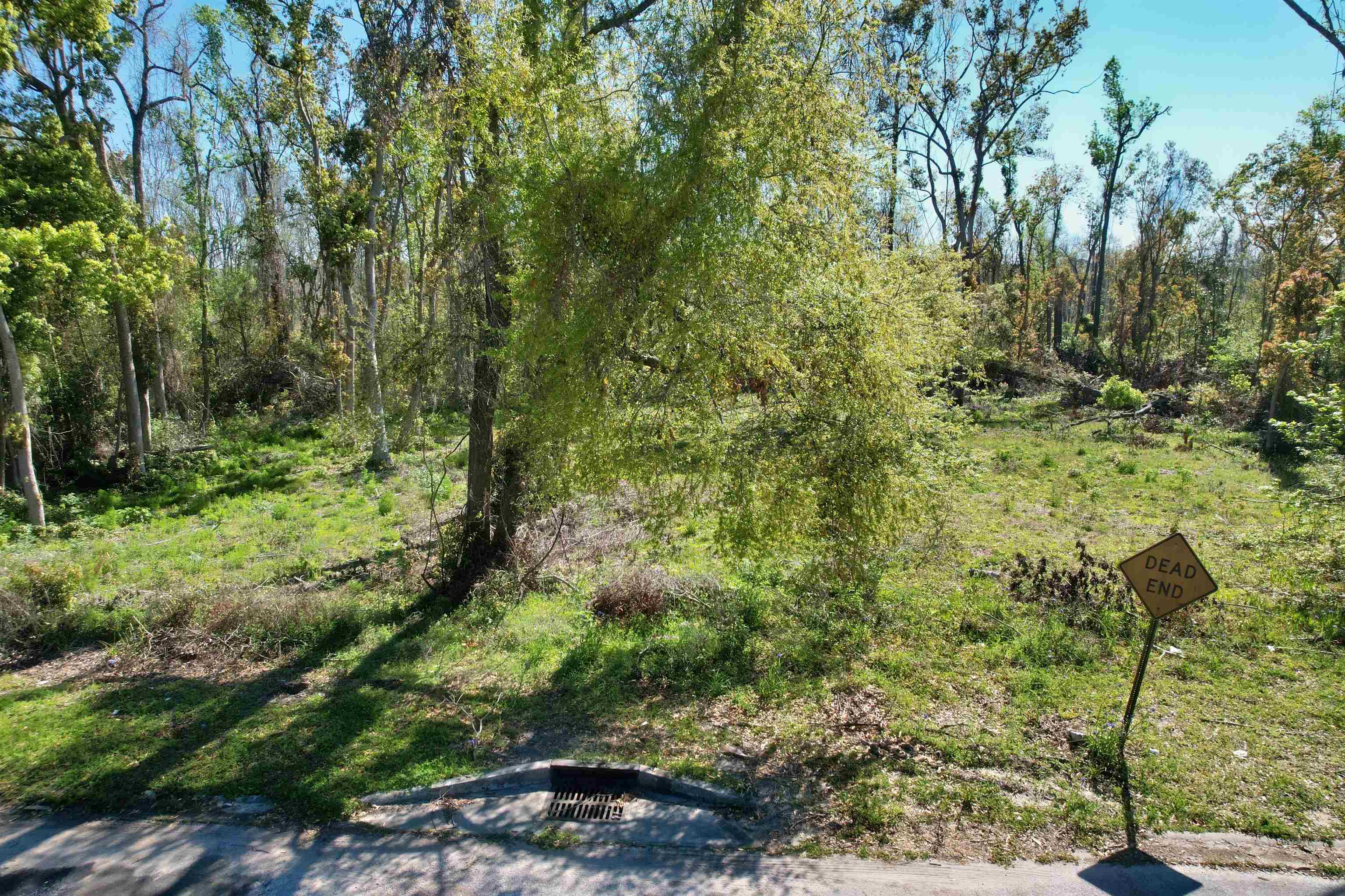 SE Stephens Avenue, Madison, Florida image 18
