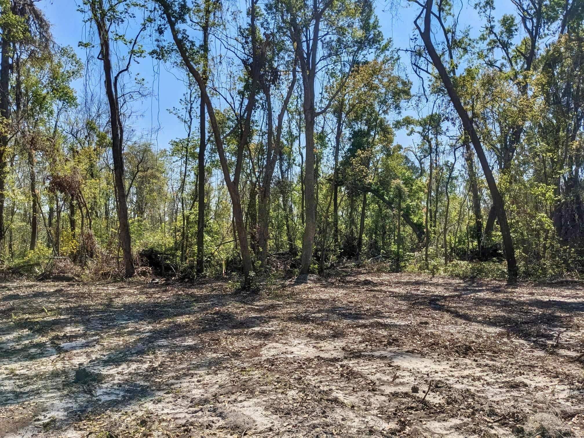 SE Stephens Avenue, Madison, Florida image 3