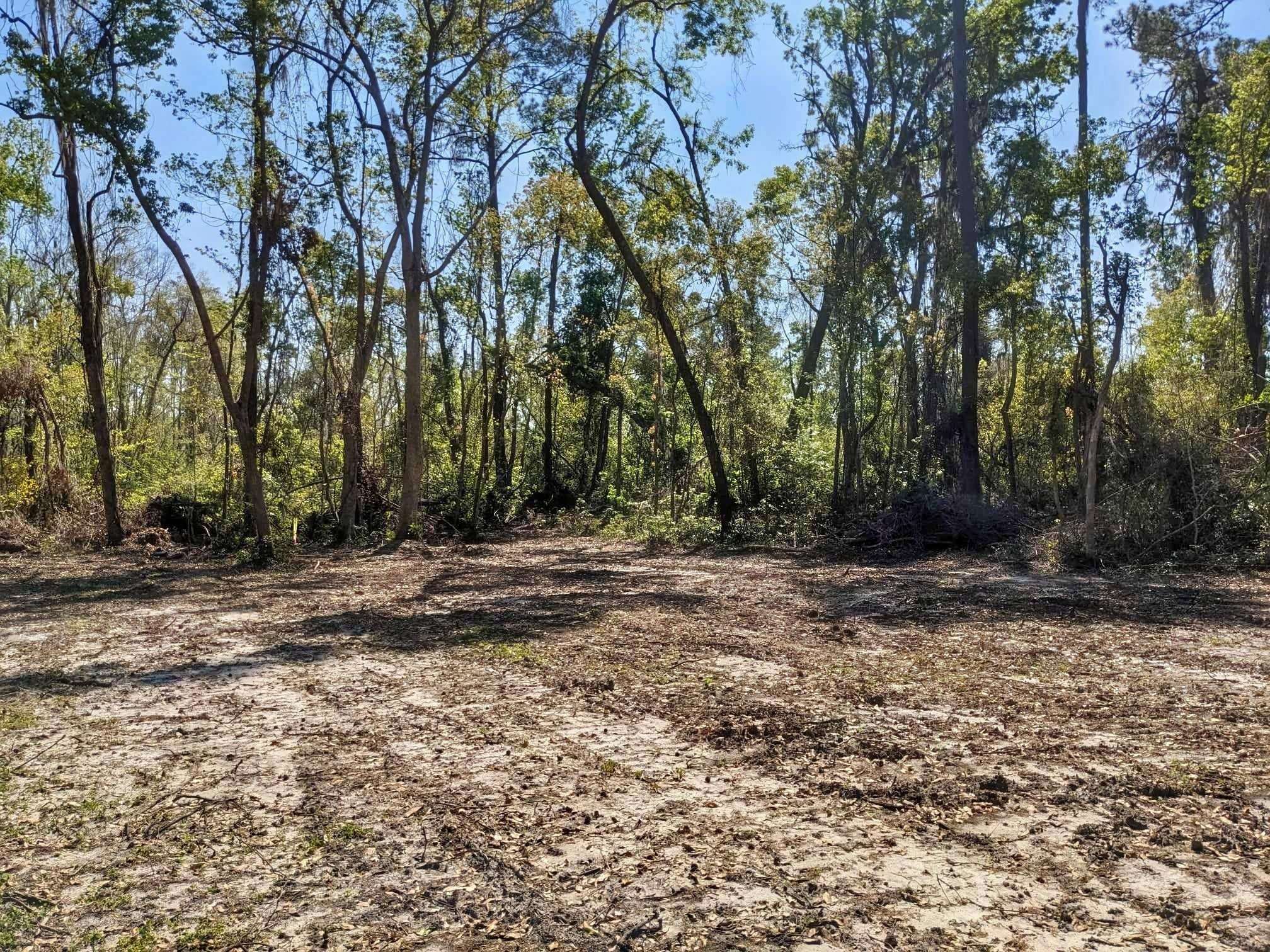 SE Stephens Avenue, Madison, Florida image 4