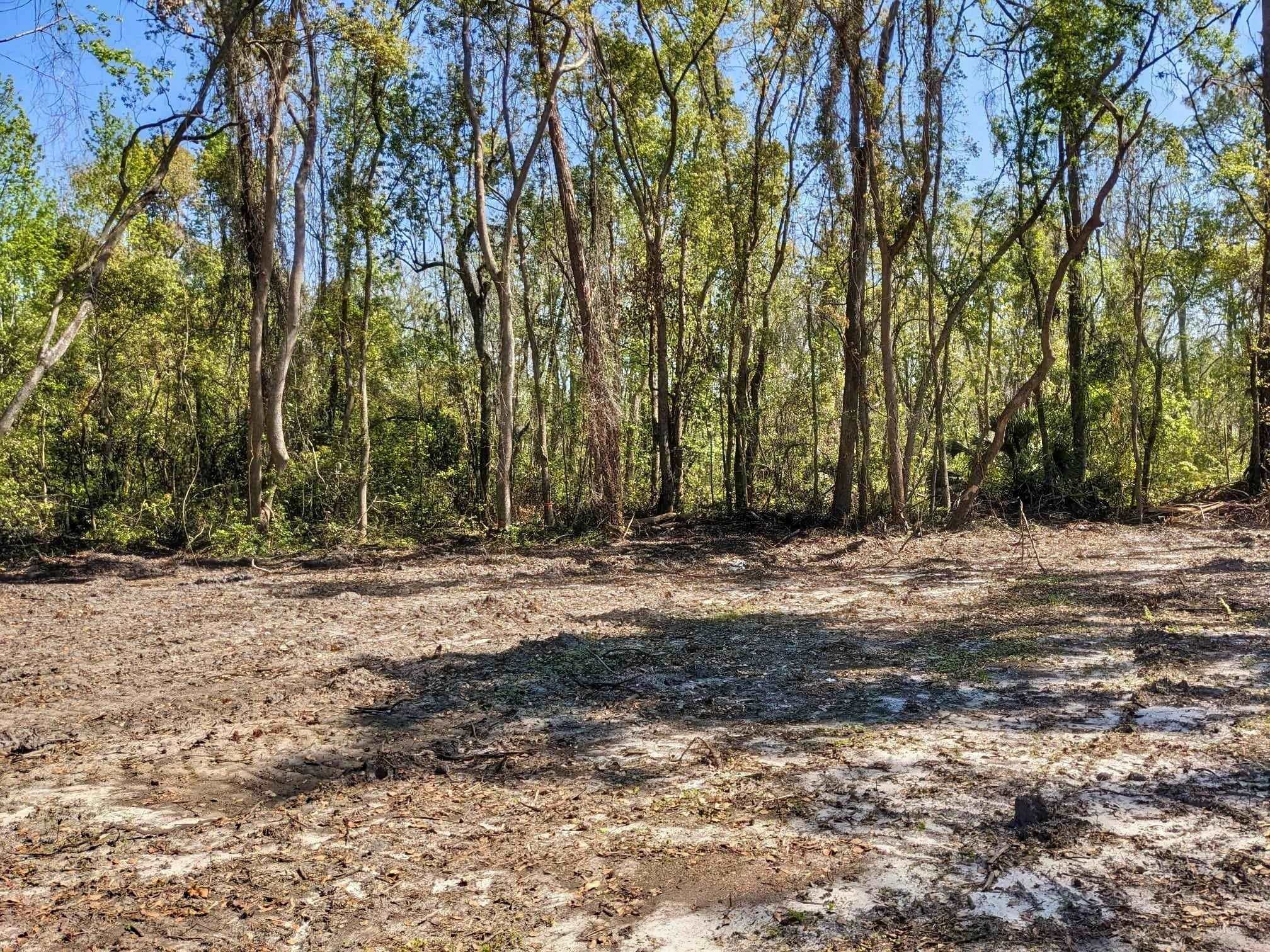 SE Stephens Avenue, Madison, Florida image 8