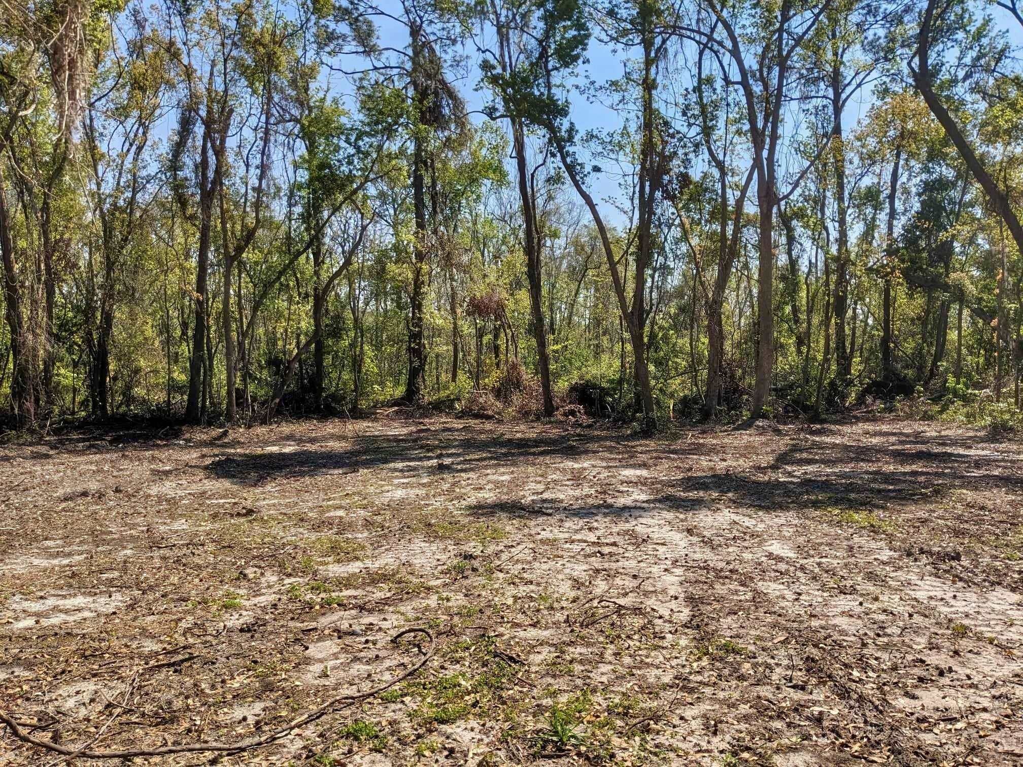SE Stephens Avenue, Madison, Florida image 9