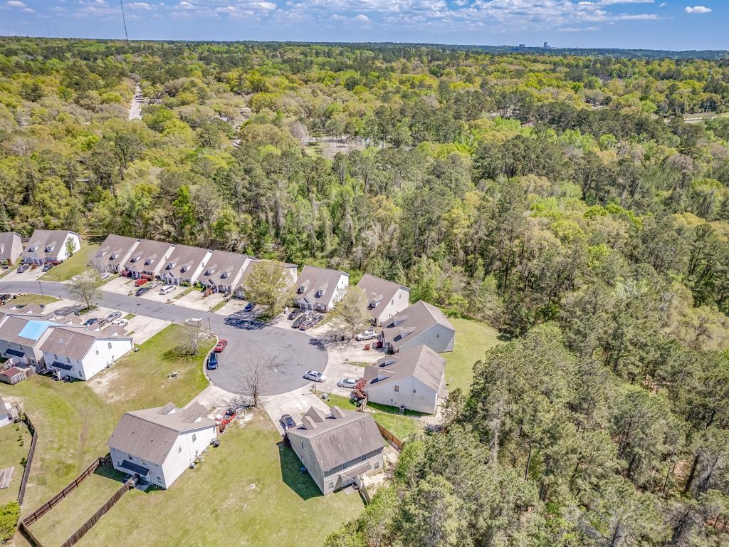 3097 Sawtooth Drive, Tallahassee, Florida image 34