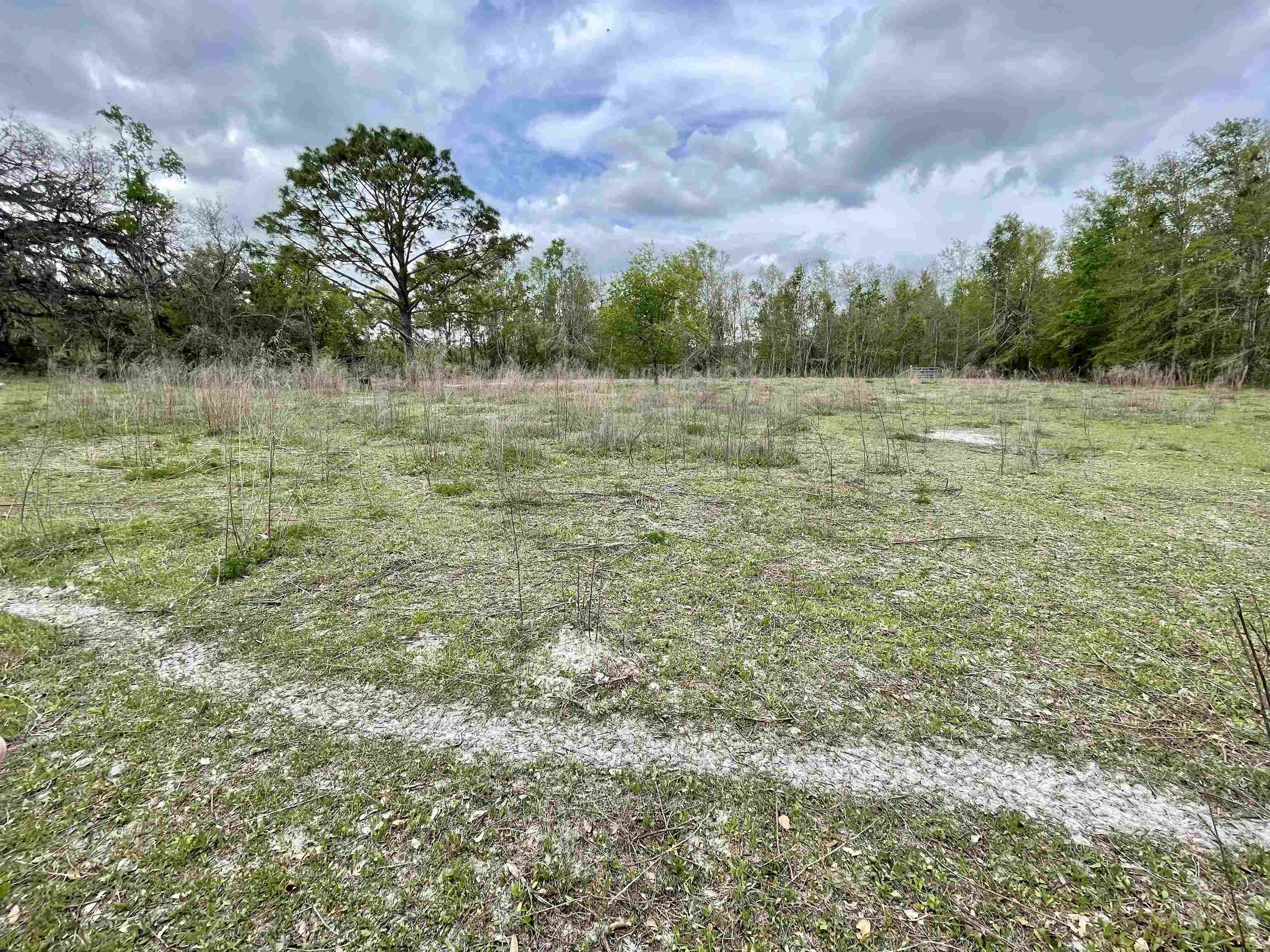 4320 SW 54th Way, Jasper, Florida image 16