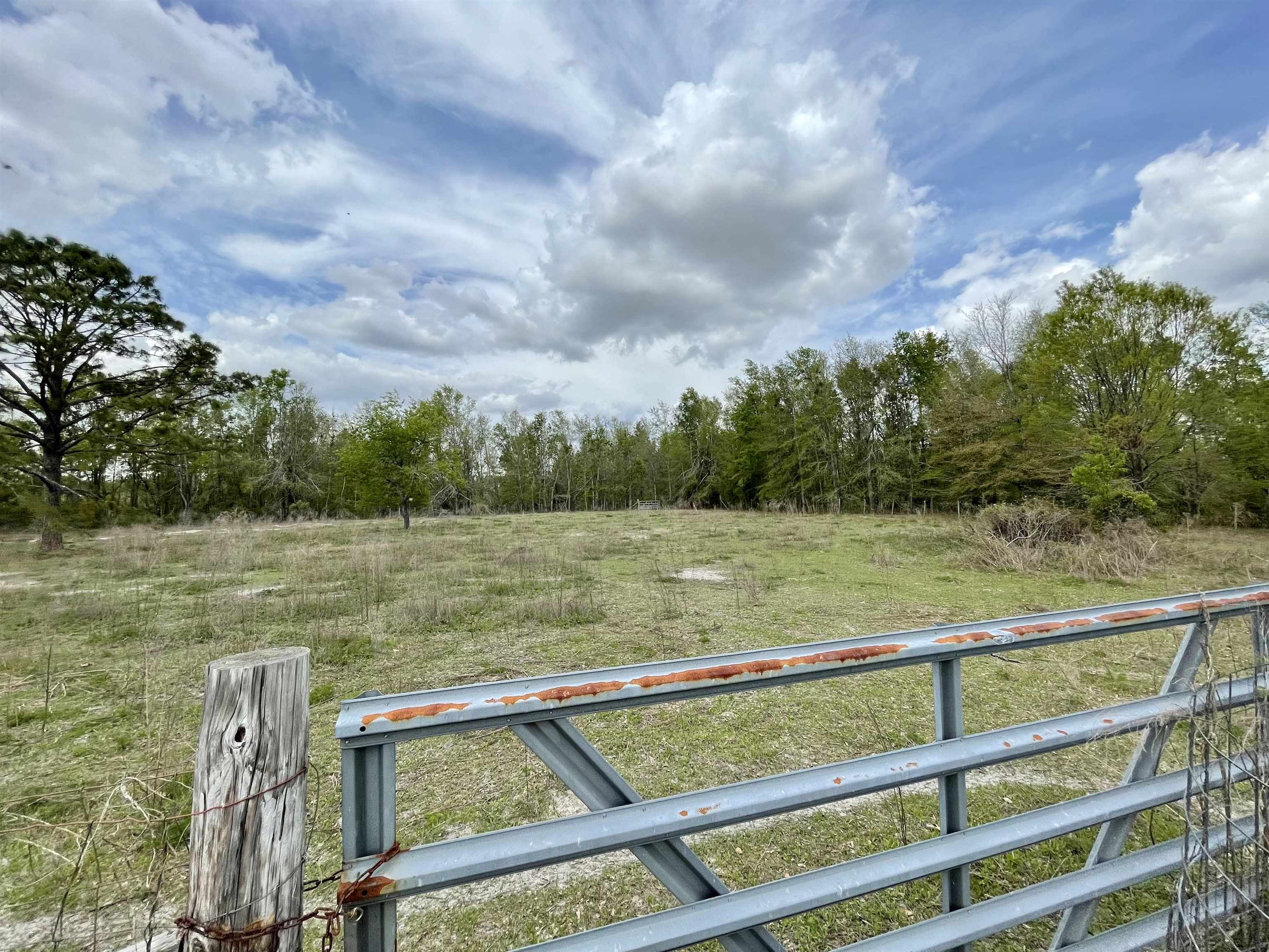 4320 SW 54th Way, Jasper, Florida image 18