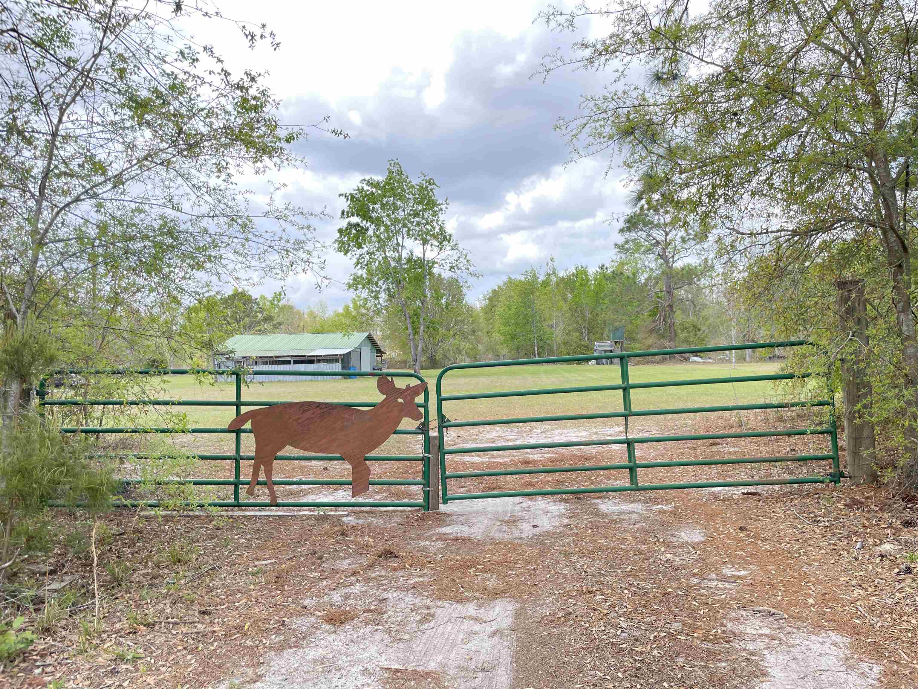 4320 SW 54th Way, Jasper, Florida image 2