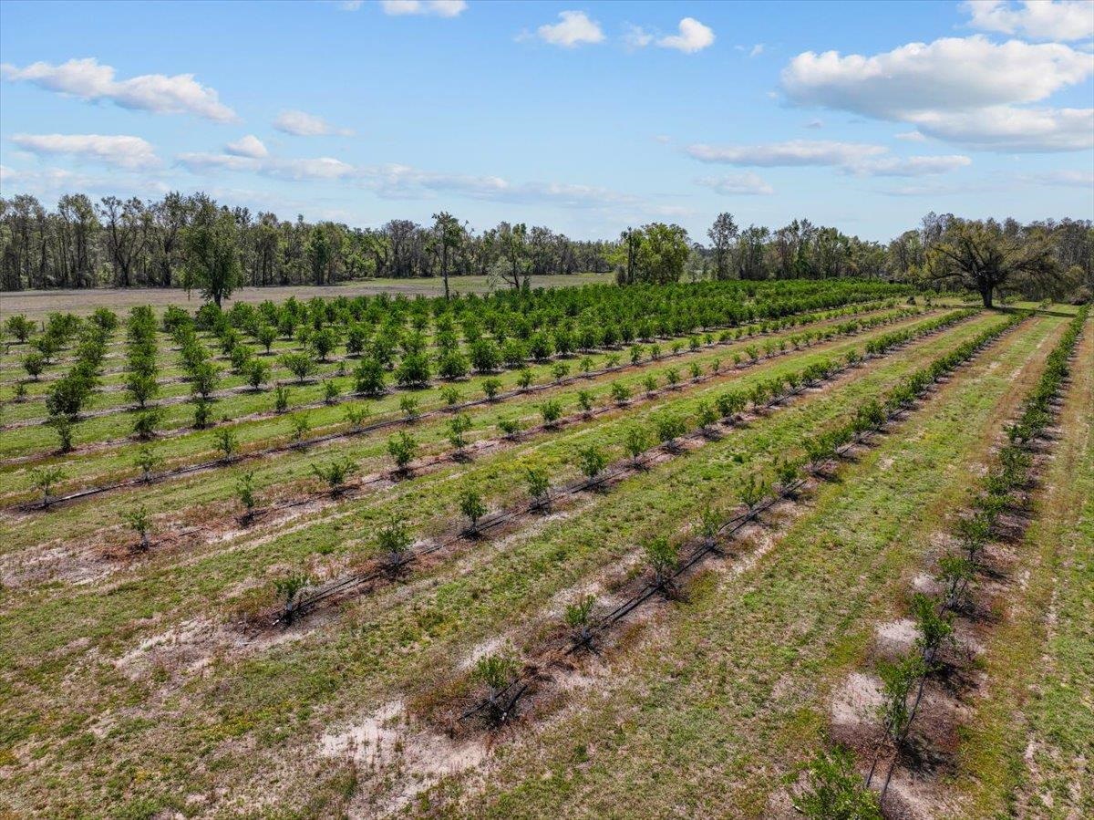 11110 Andrews Lake Road, Greenville, Florida image 39
