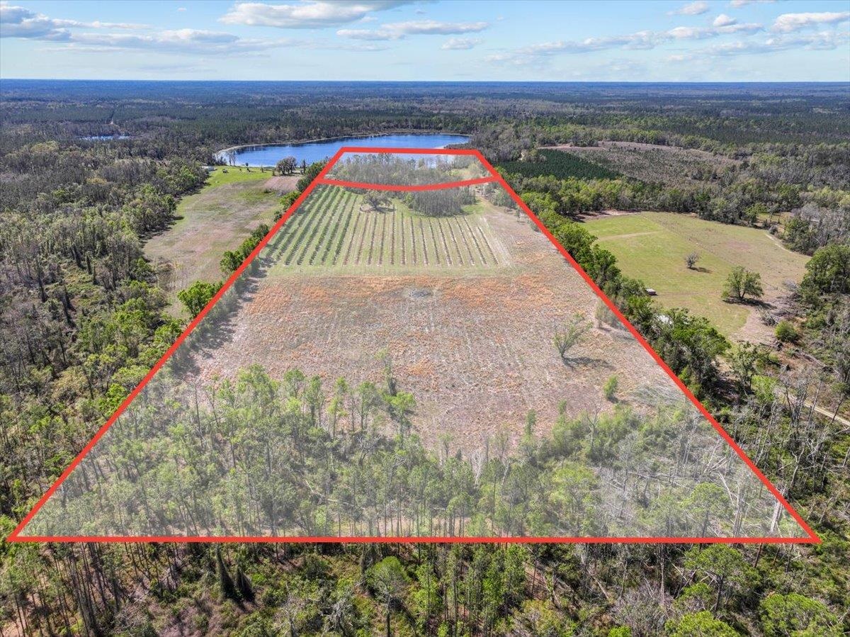 11110 Andrews Lake Road, Greenville, Florida image 41