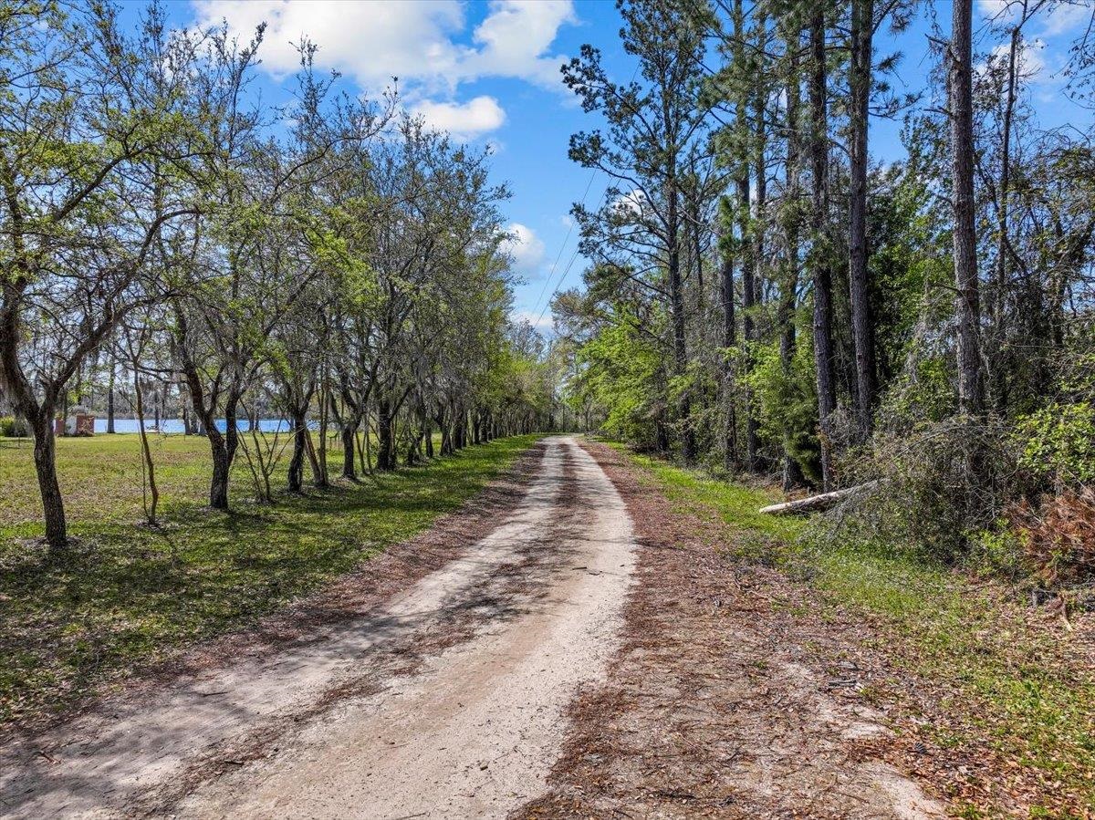 11110 Andrews Lake Road, Greenville, Florida image 42