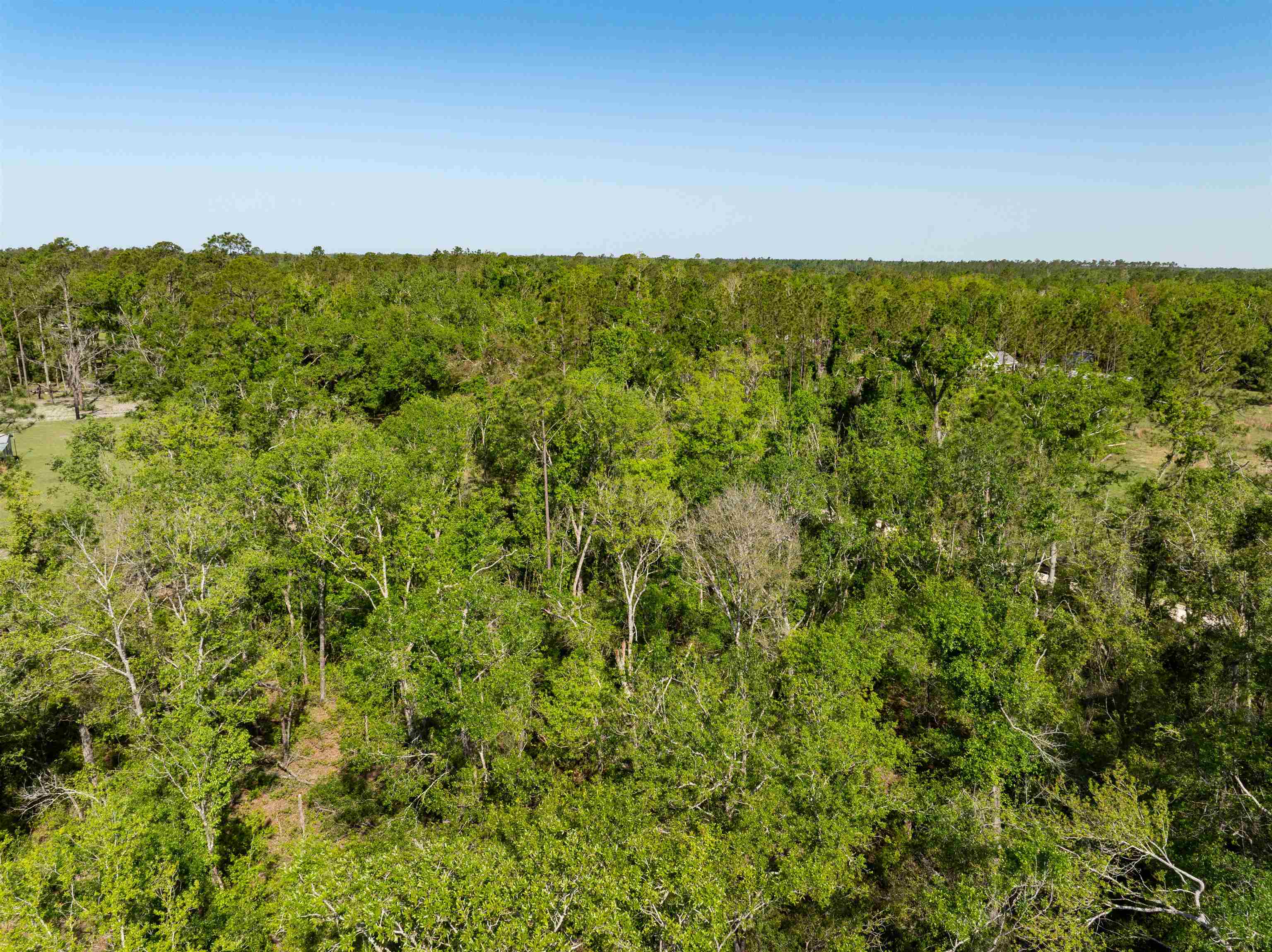 3756 Cash Road, Perry, Florida image 10