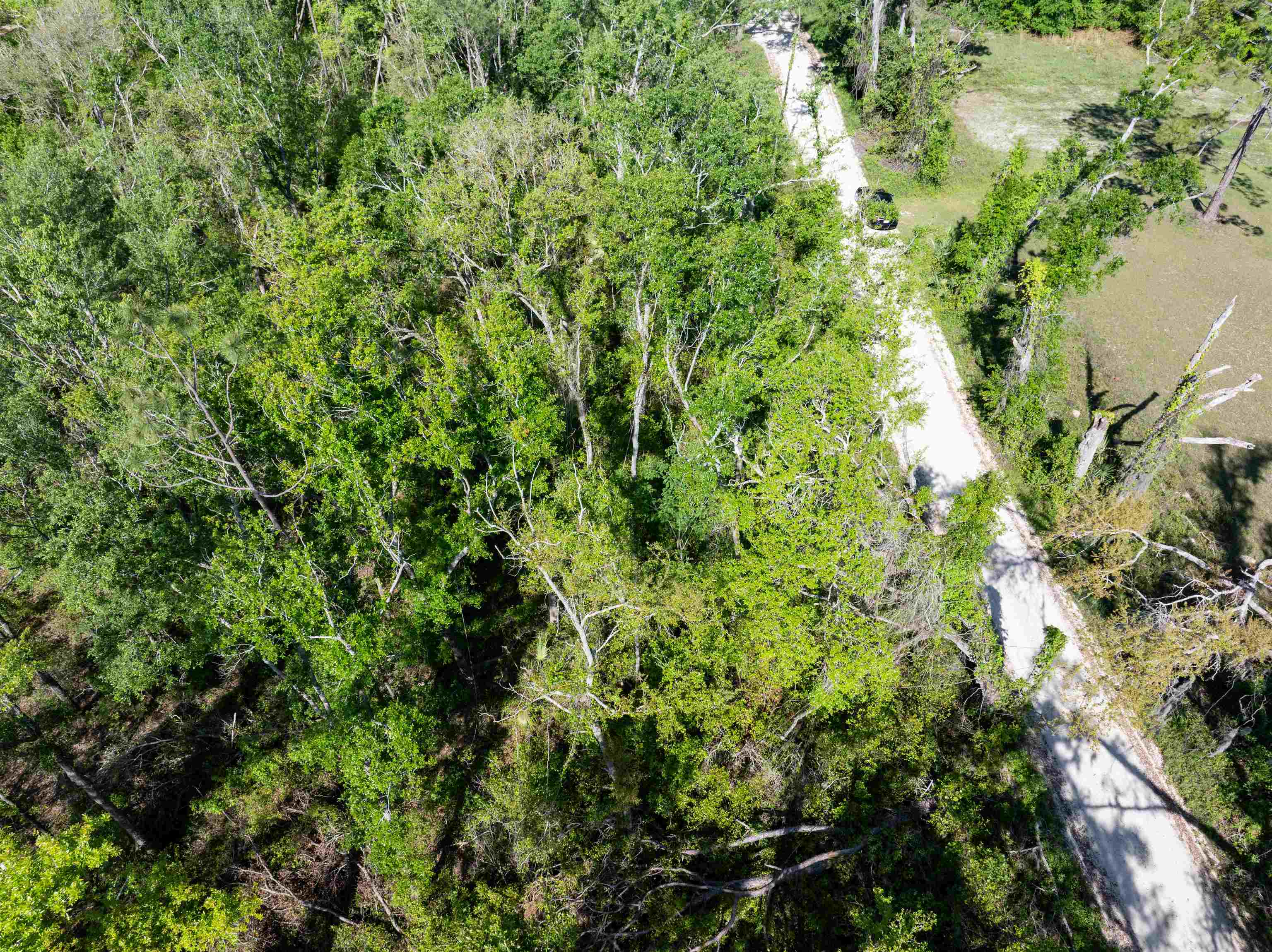 3756 Cash Road, Perry, Florida image 11