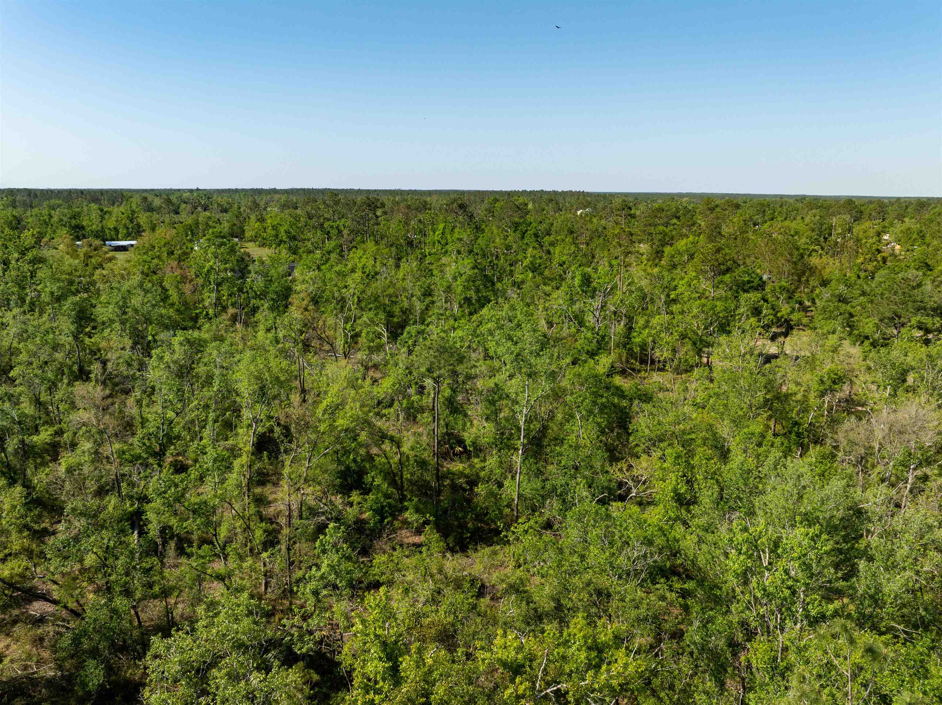 3756 Cash Road, Perry, Florida image 12