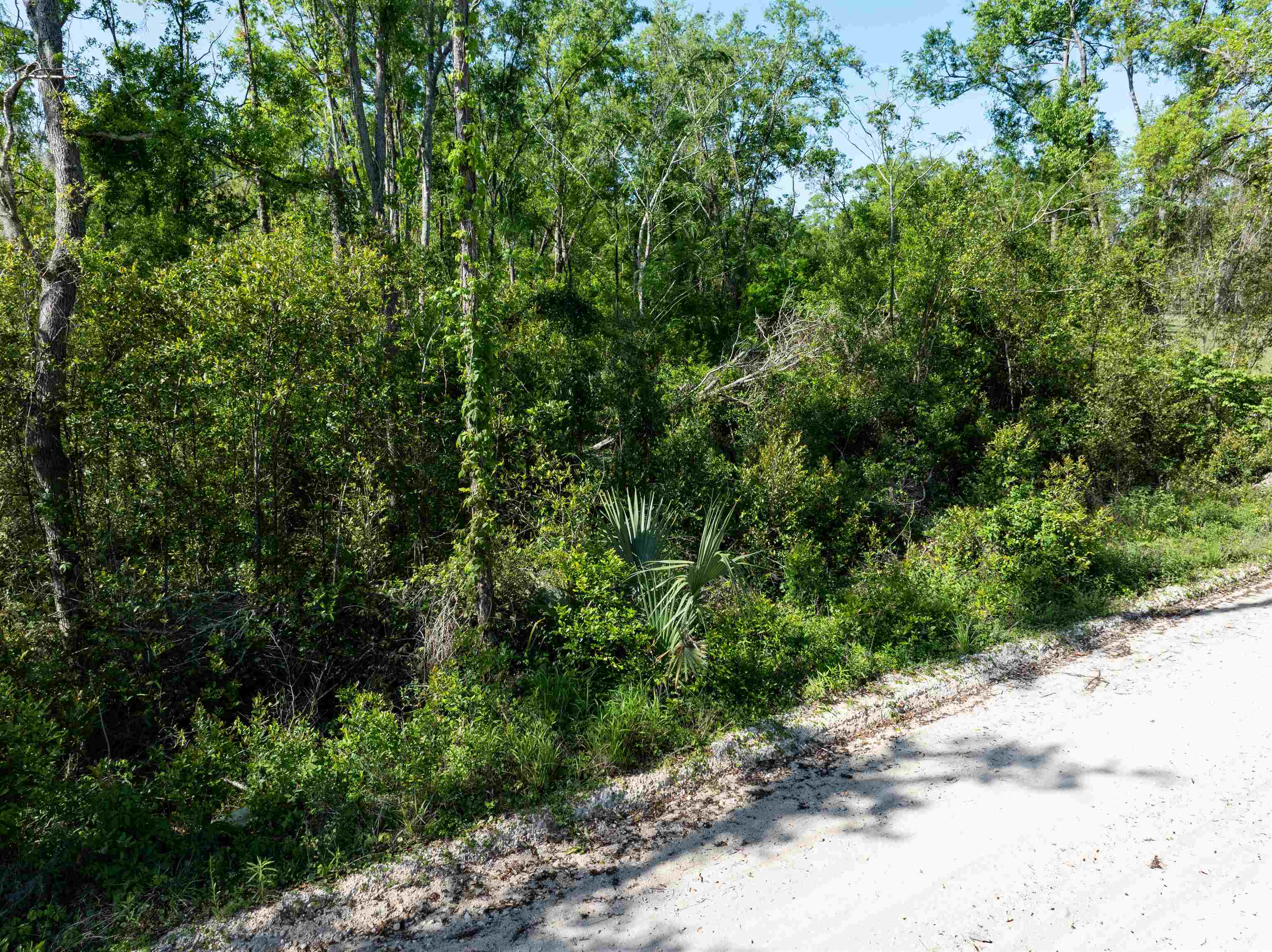 3756 Cash Road, Perry, Florida image 13