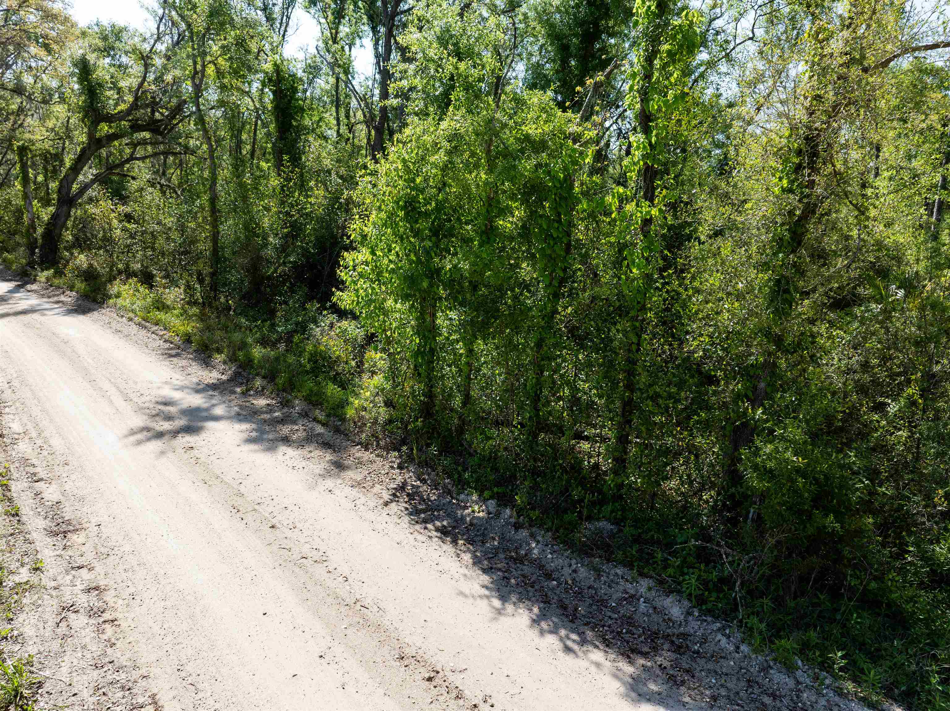 3756 Cash Road, Perry, Florida image 2