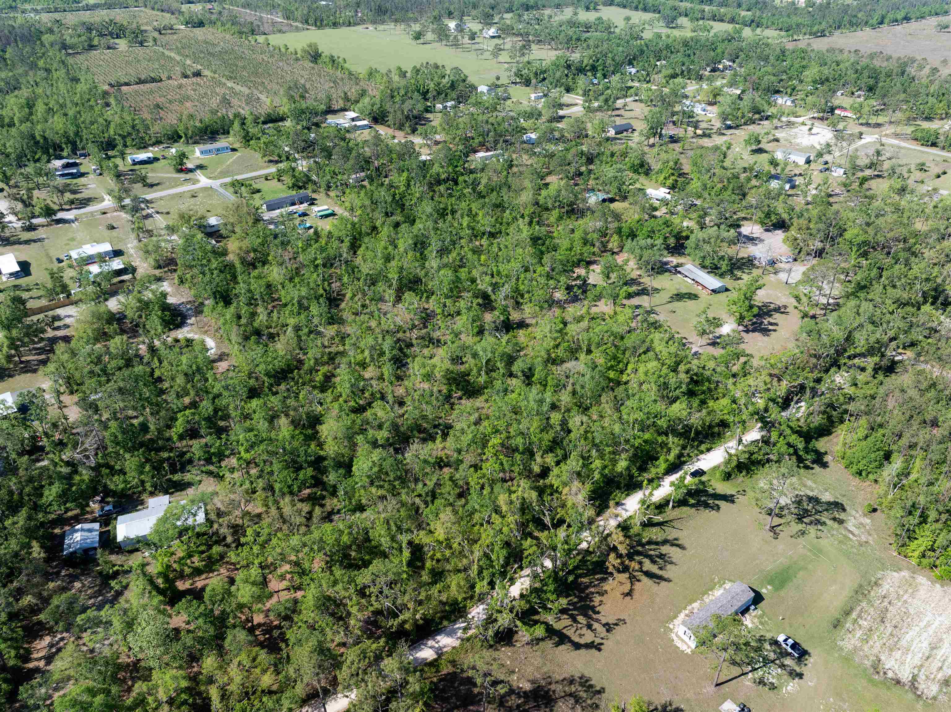 3756 Cash Road, Perry, Florida image 3