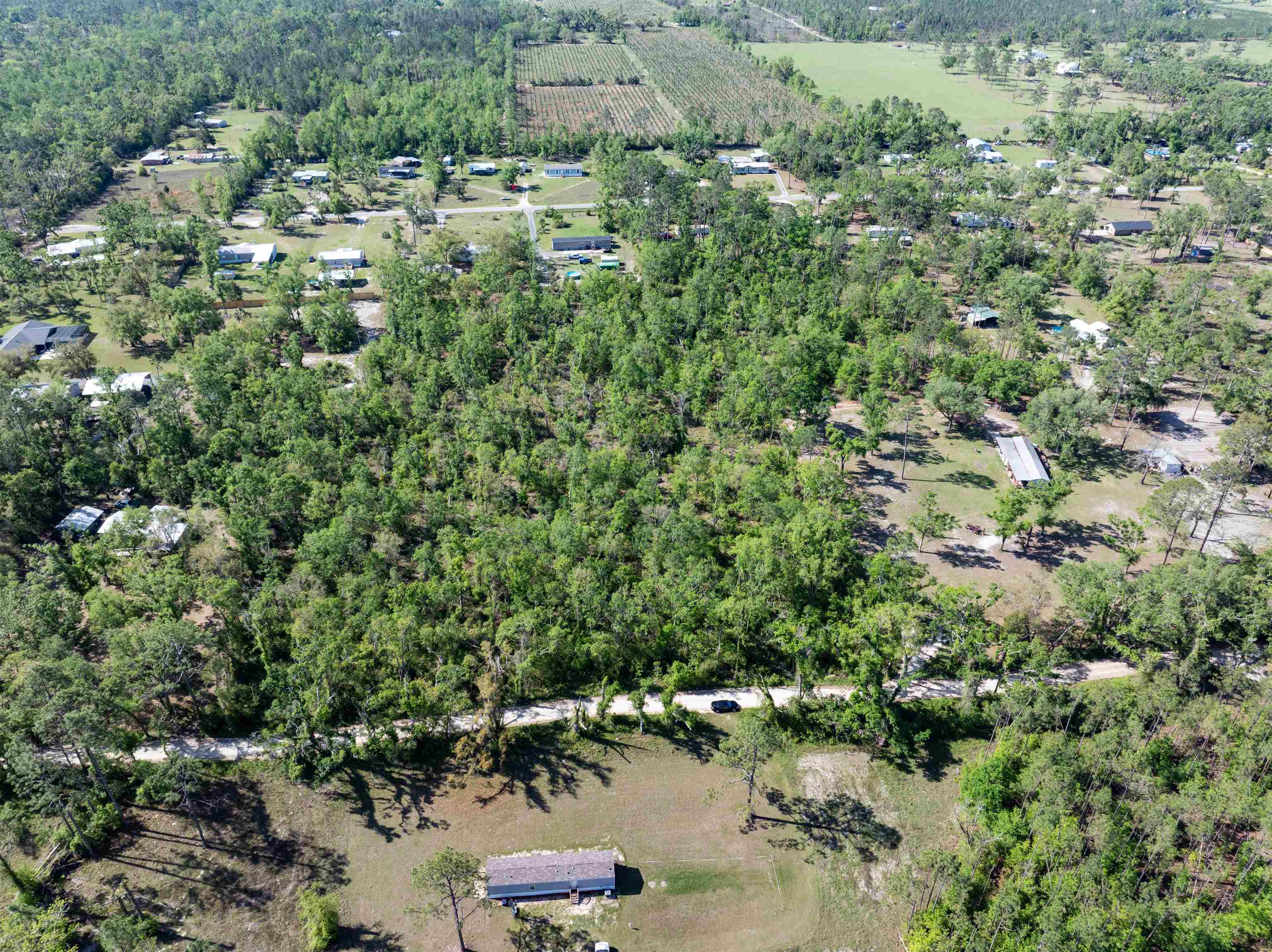 3756 Cash Road, Perry, Florida image 4
