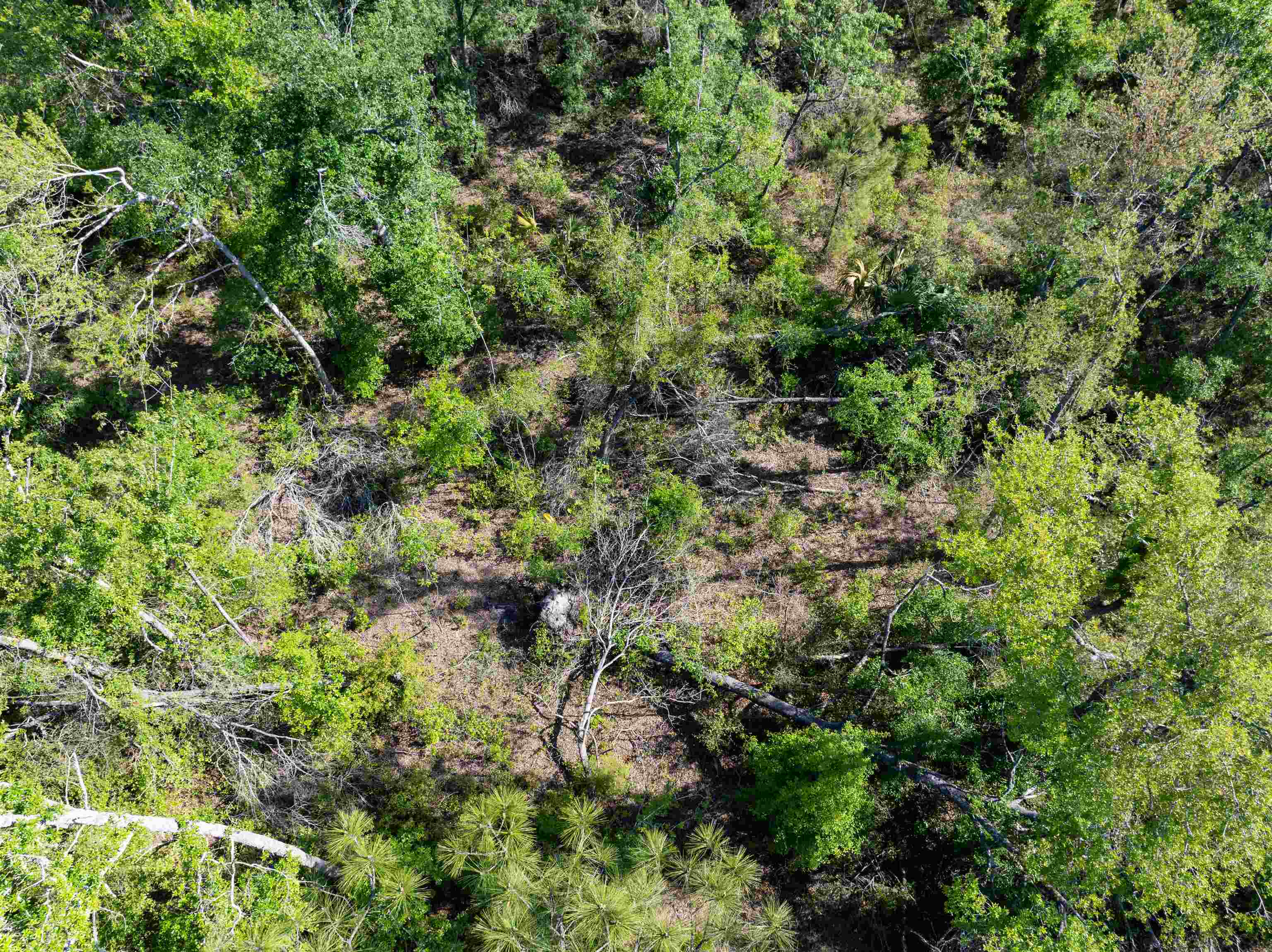 3756 Cash Road, Perry, Florida image 9