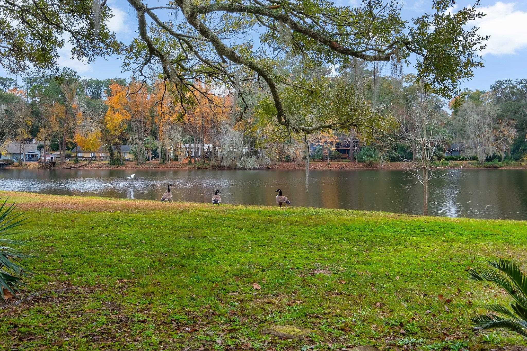 2704 Nantucket Lane, Tallahassee, Florida image 3