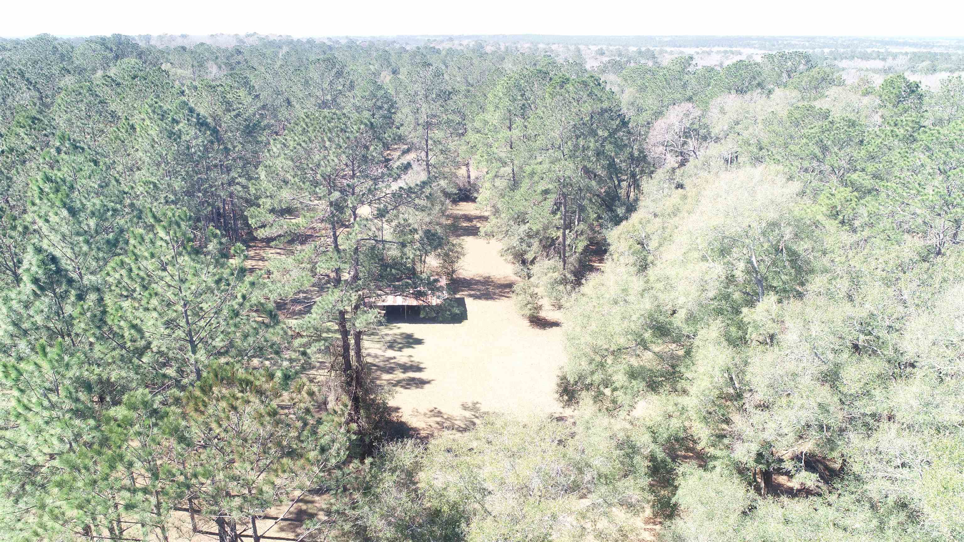 1400 Gamble Road, Monticello, Florida image 4