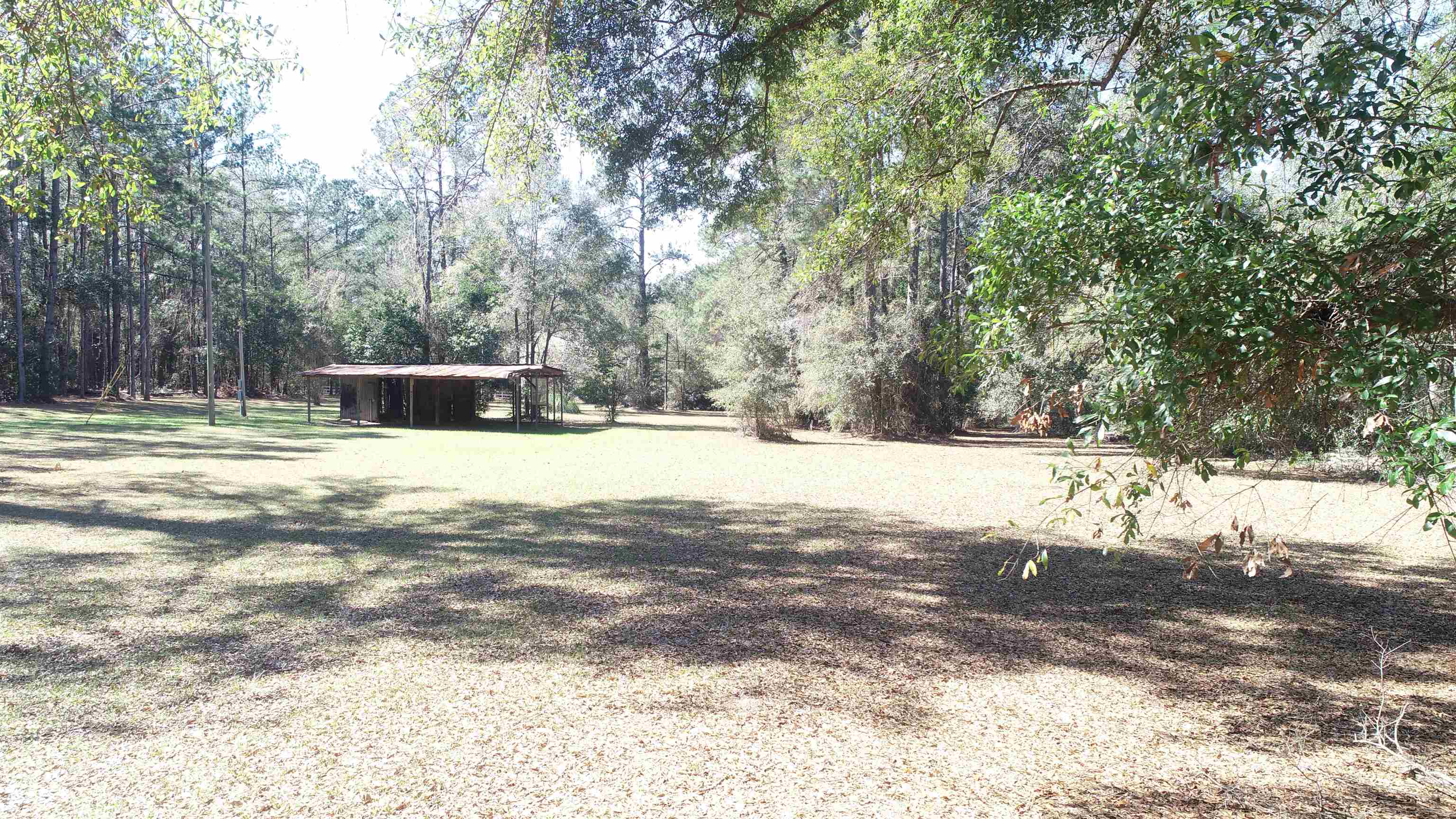 1400 Gamble Road, Monticello, Florida image 5