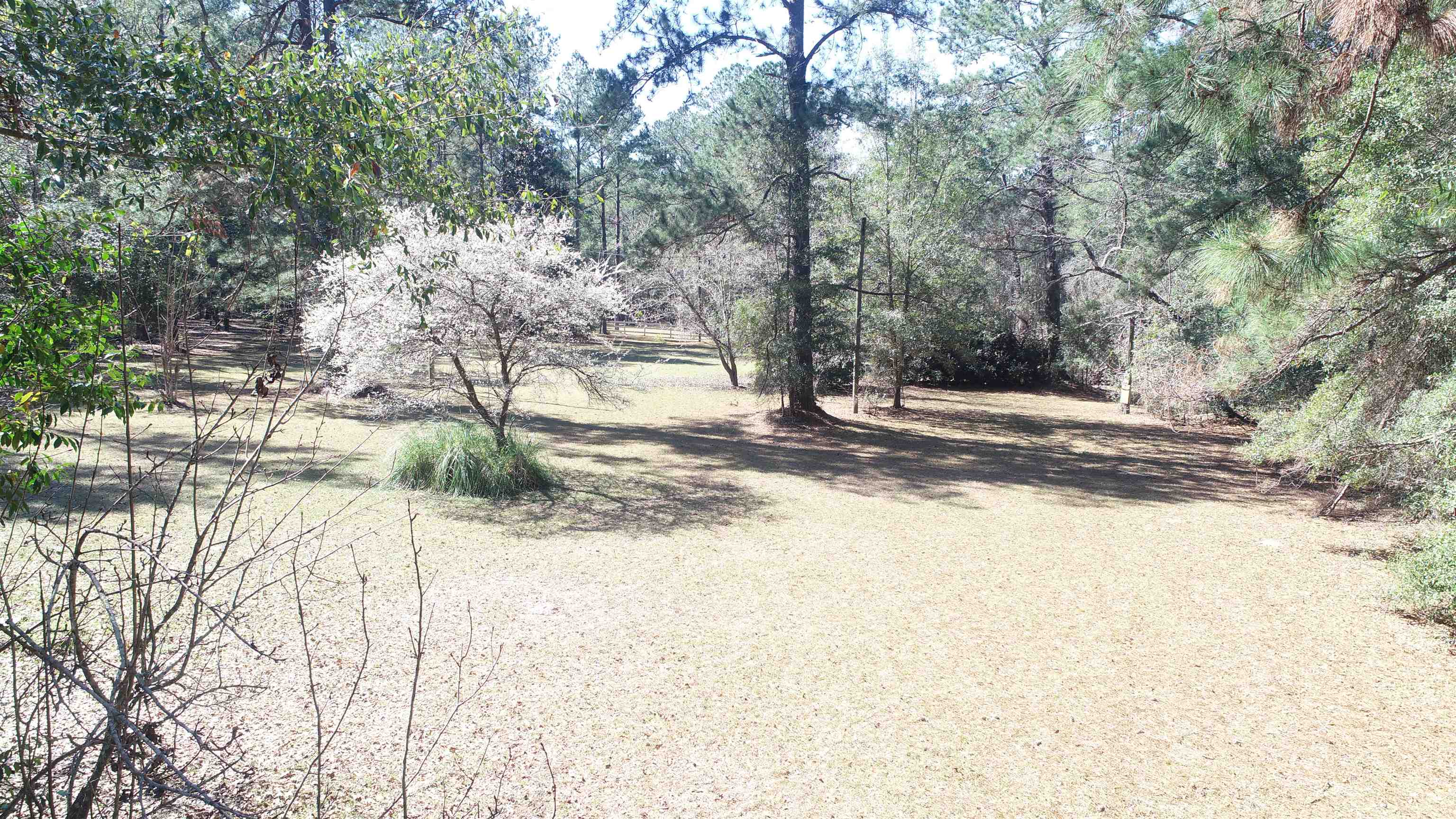 1400 Gamble Road, Monticello, Florida image 6