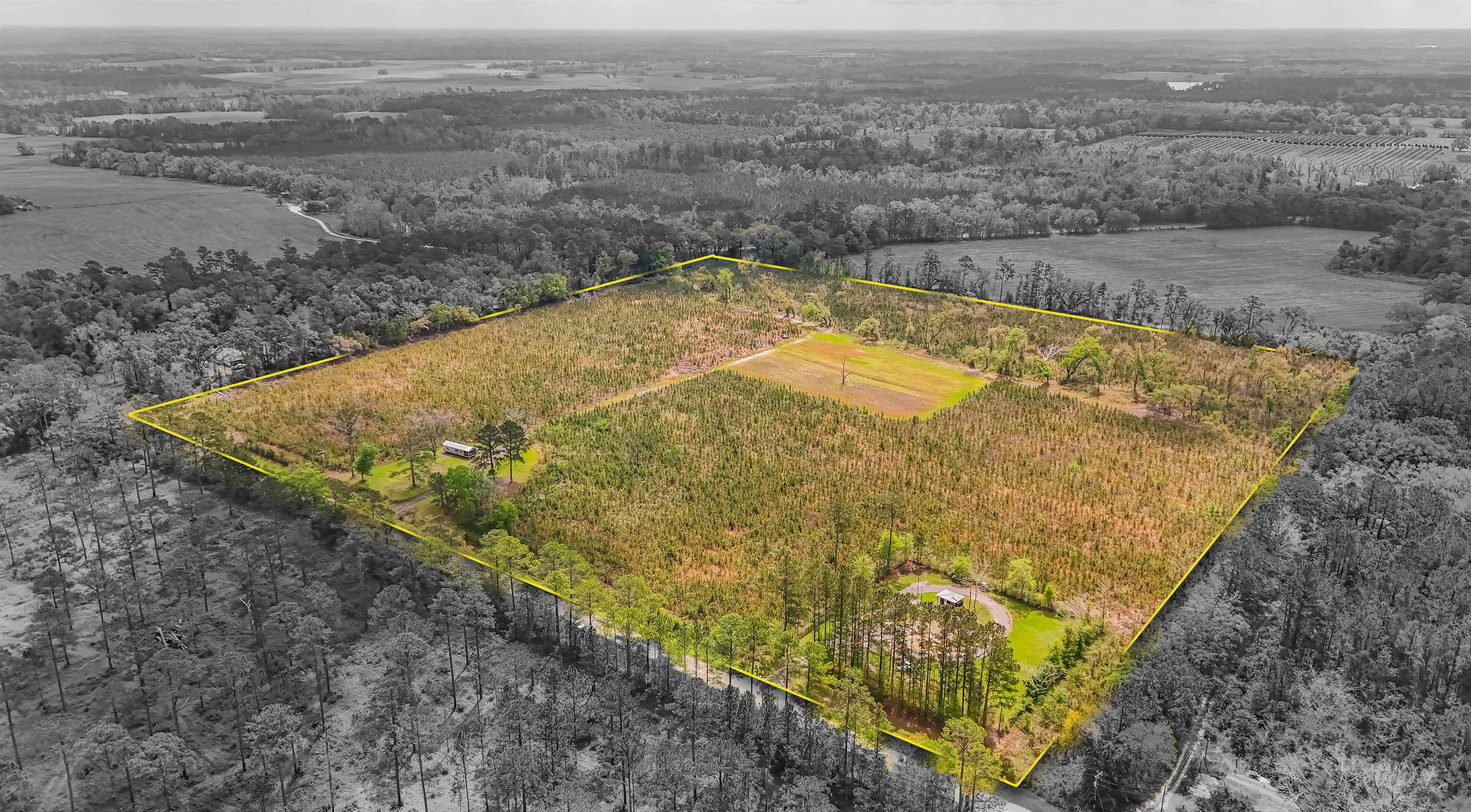2672 Fulford Road, Monticello, Florida image 1