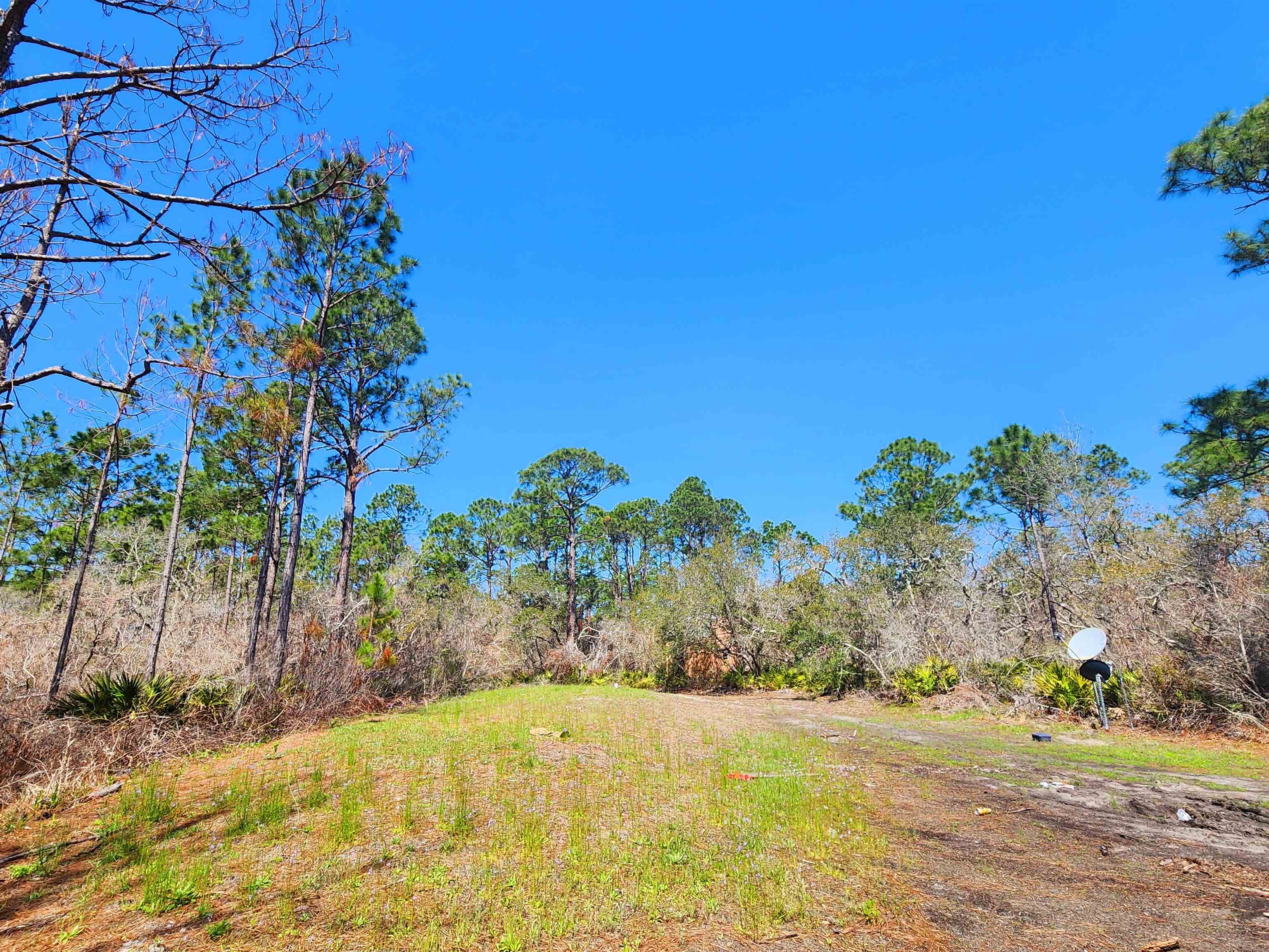 15319 Seaview Drive, Perry, Florida image 19