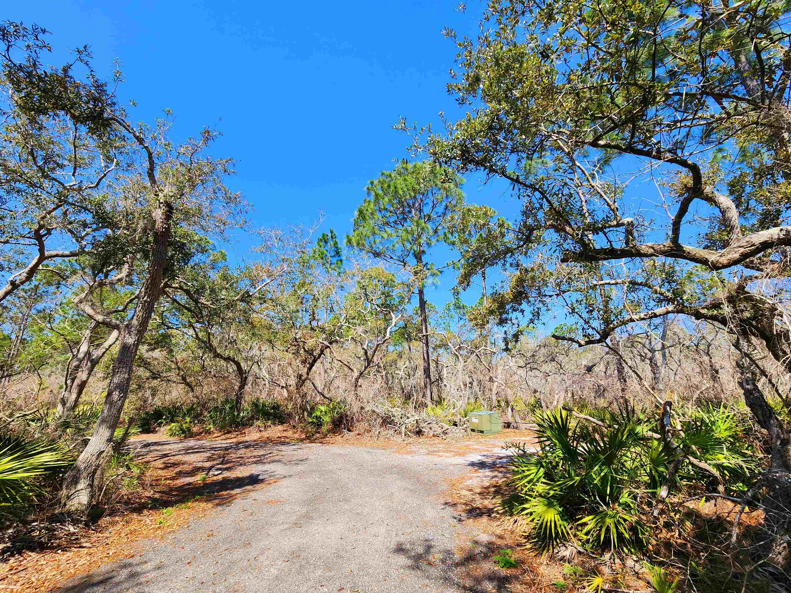 15319 Seaview Drive, Perry, Florida image 20