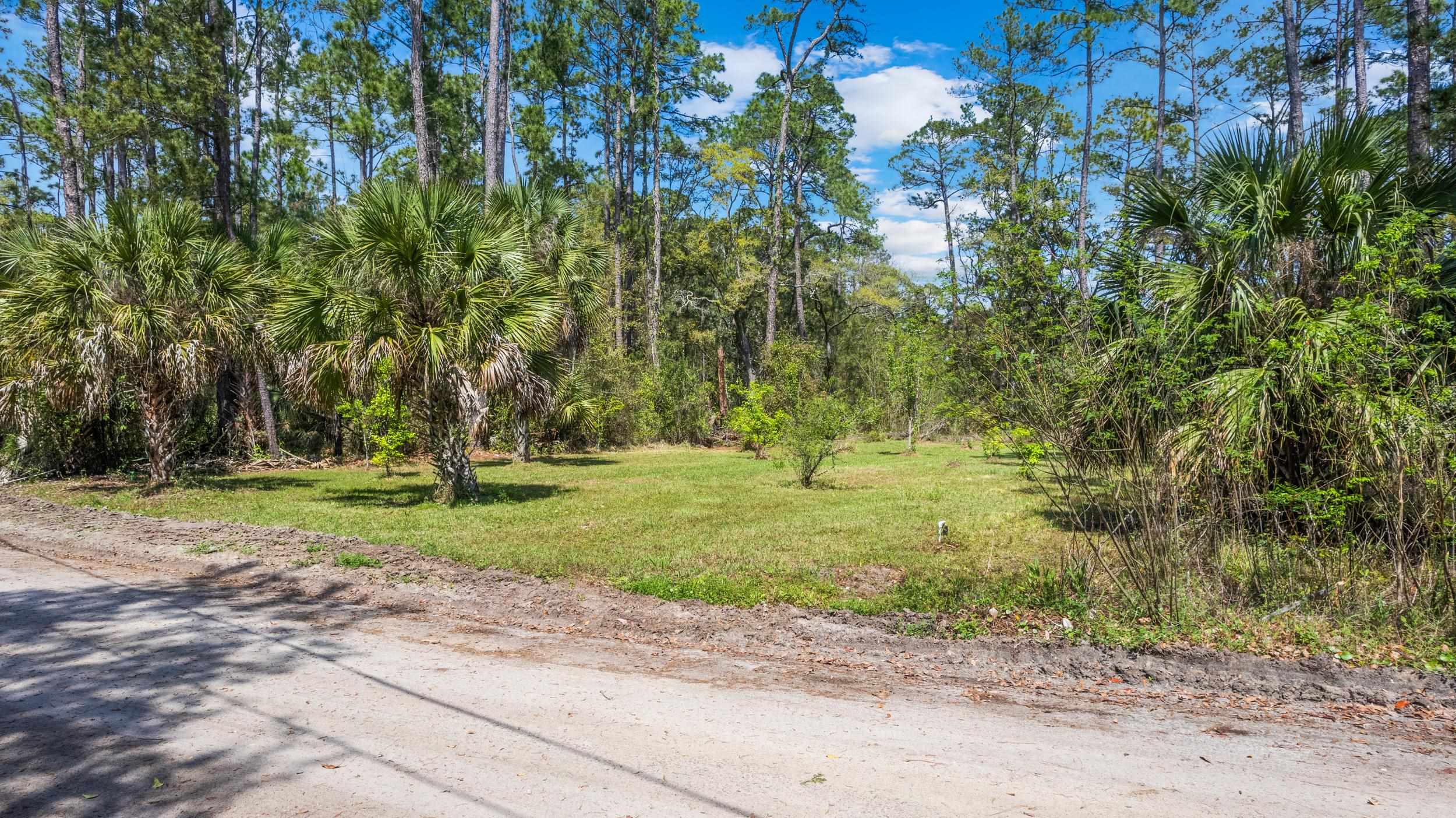 XXX River Drive, Panacea, Florida image 1
