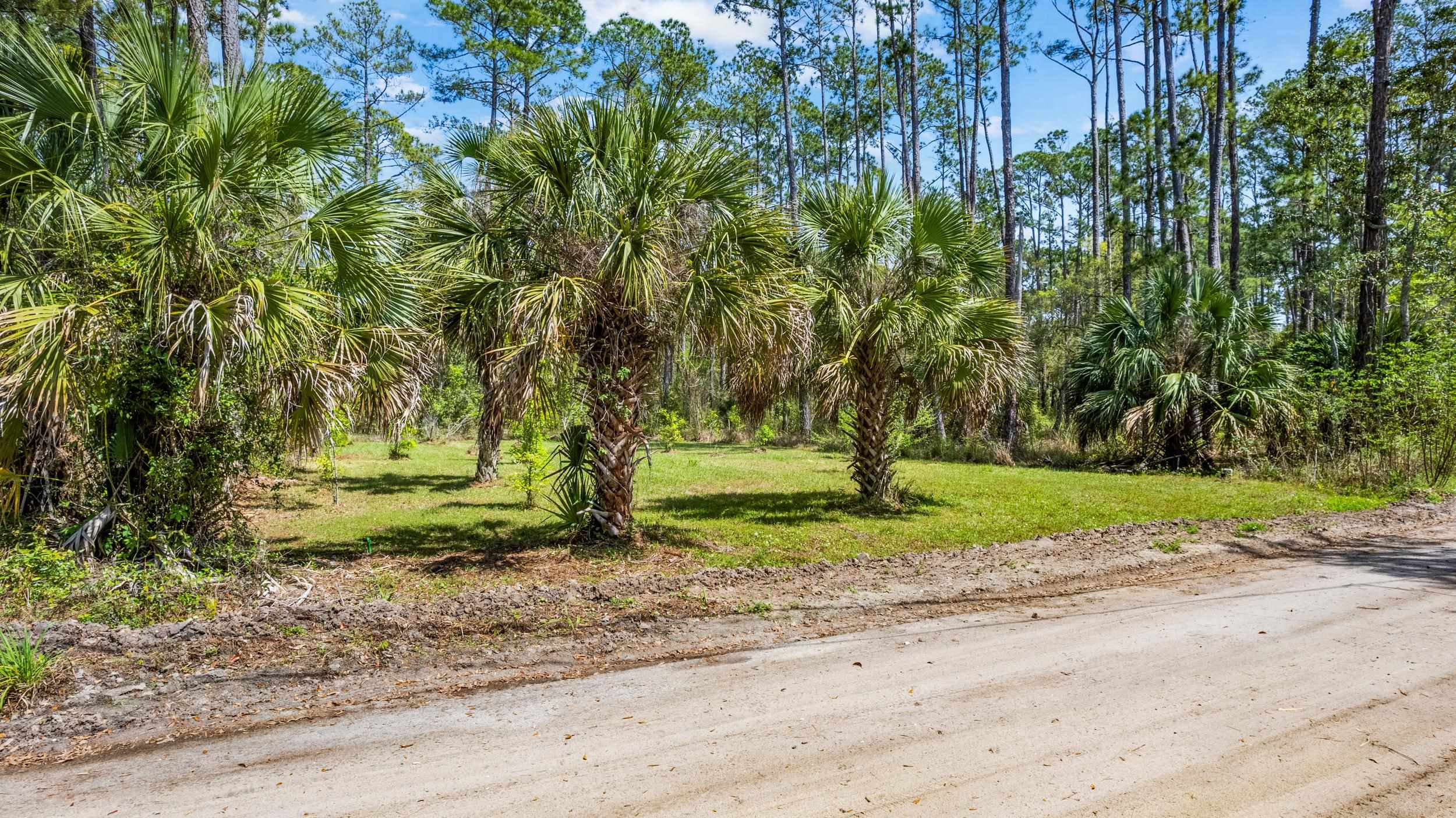 XXX River Drive, Panacea, Florida image 2