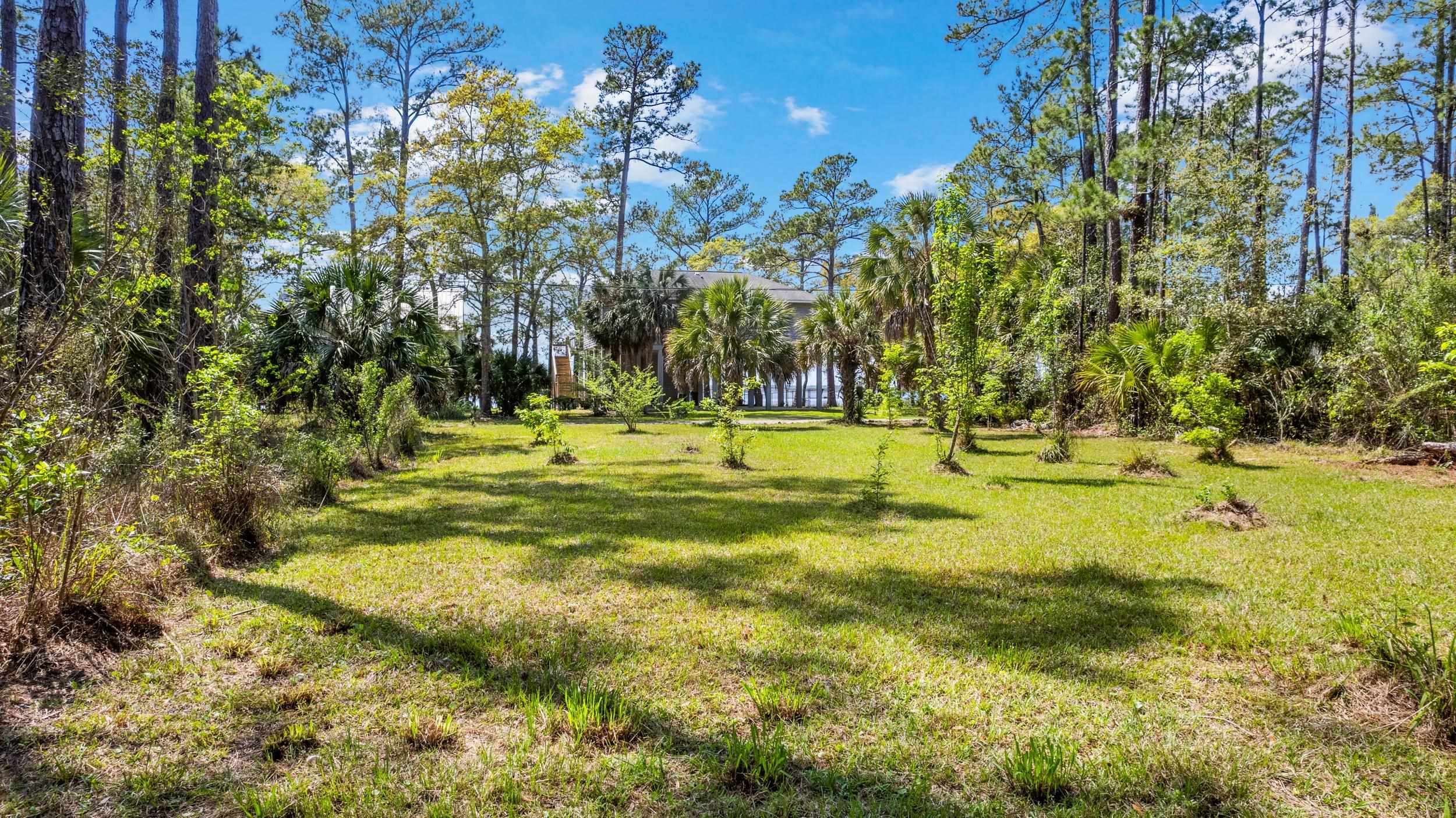 XXX River Drive, Panacea, Florida image 3