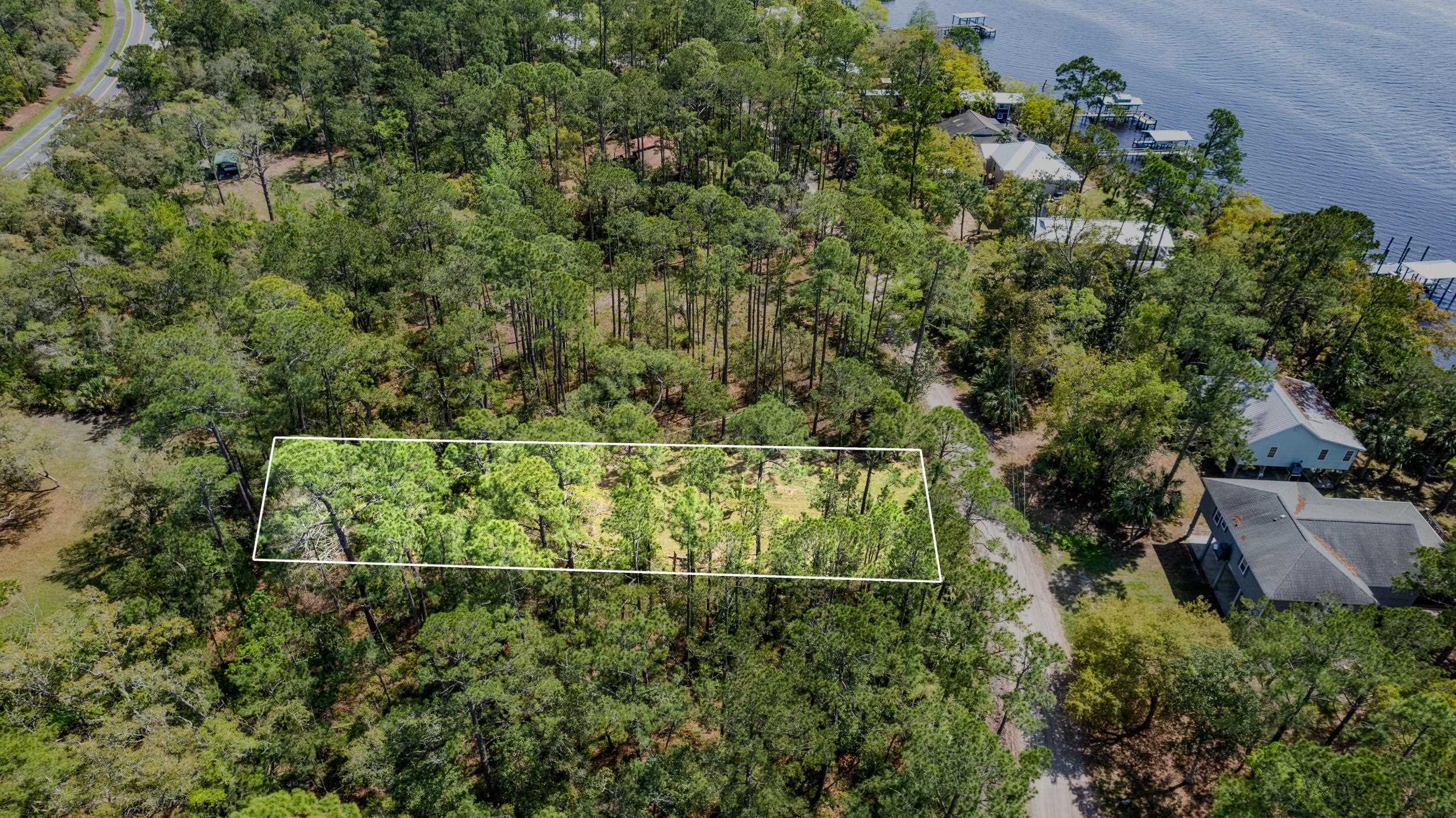 XXX River Drive, Panacea, Florida image 4