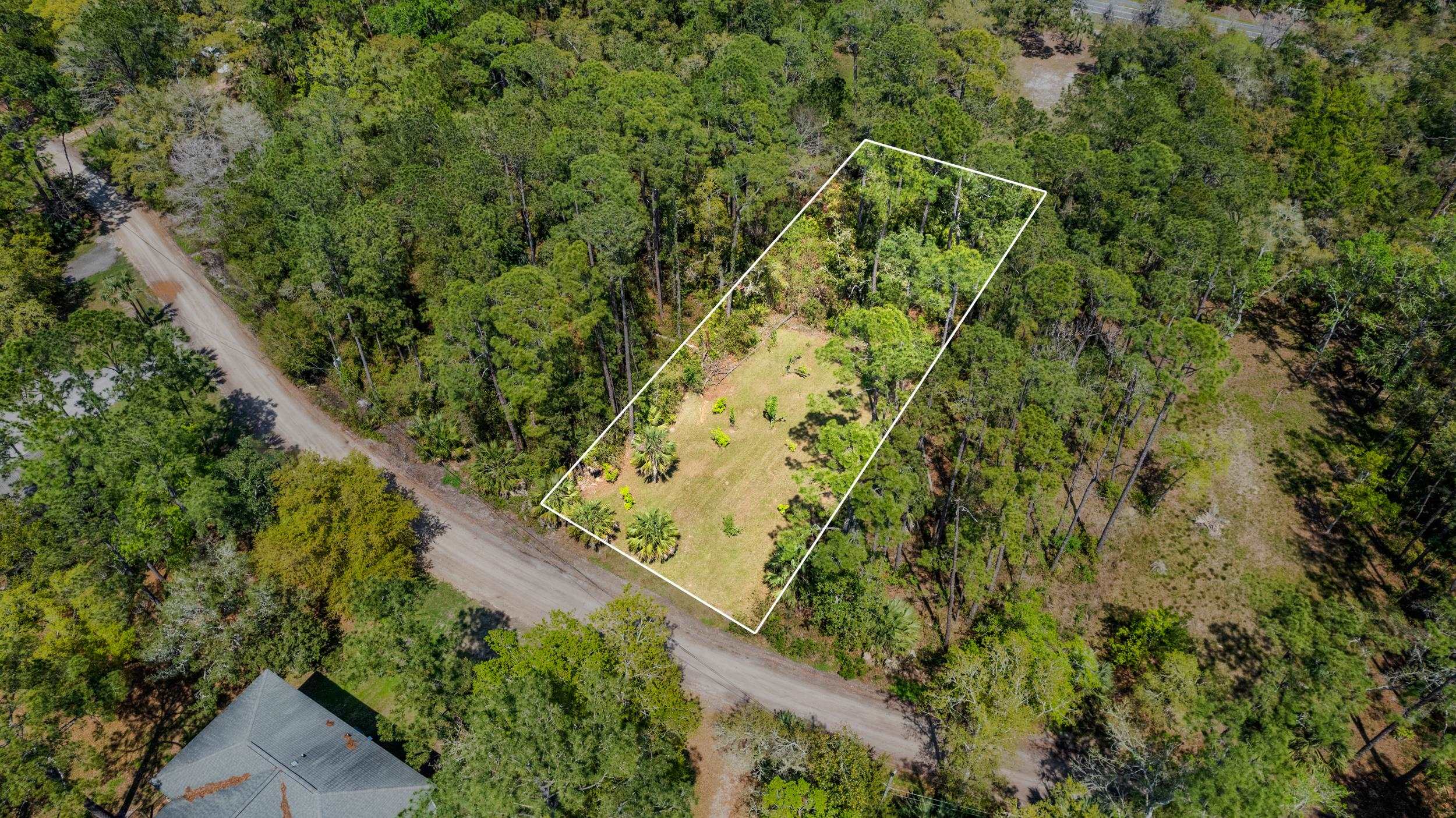 XXX River Drive, Panacea, Florida image 6