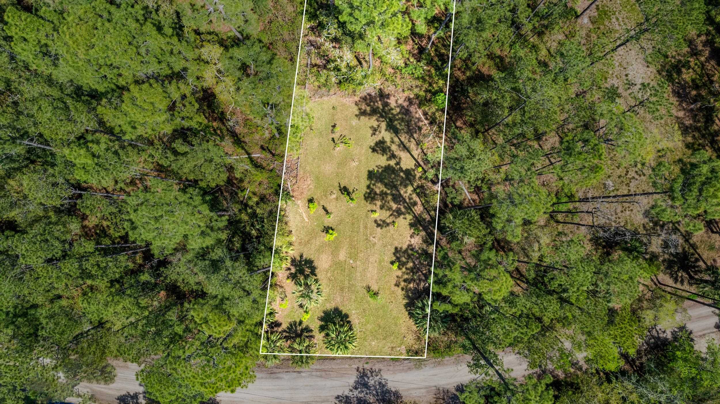XXX River Drive, Panacea, Florida image 7