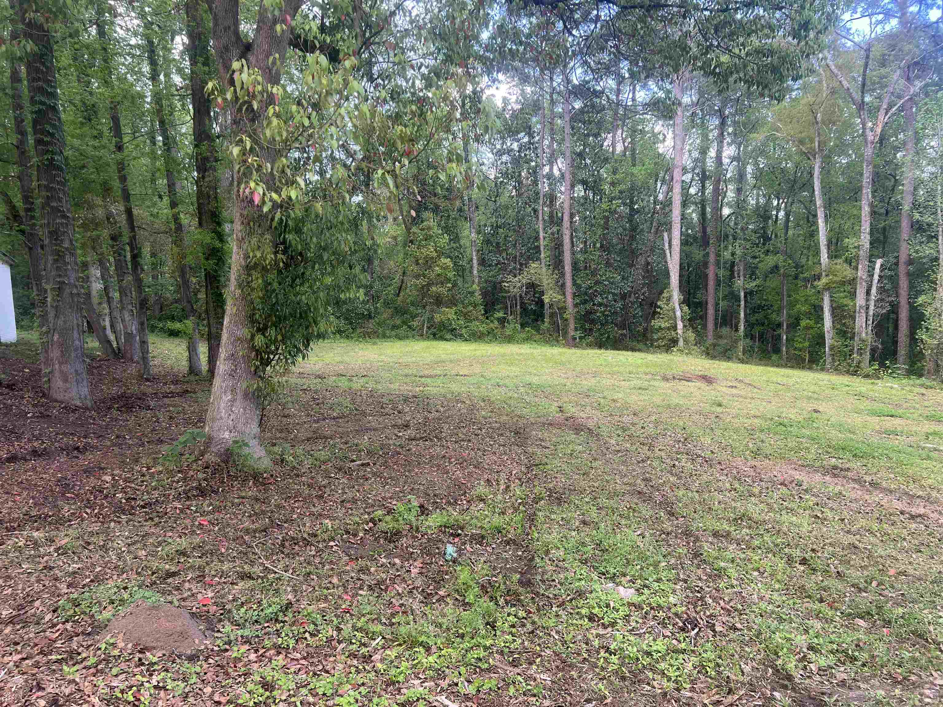 738 Livingston Court, Tallahassee, Florida image 5