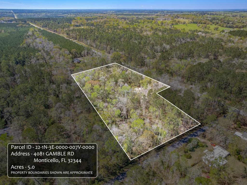 4081 Gamble Road, Monticello, Florida image 41