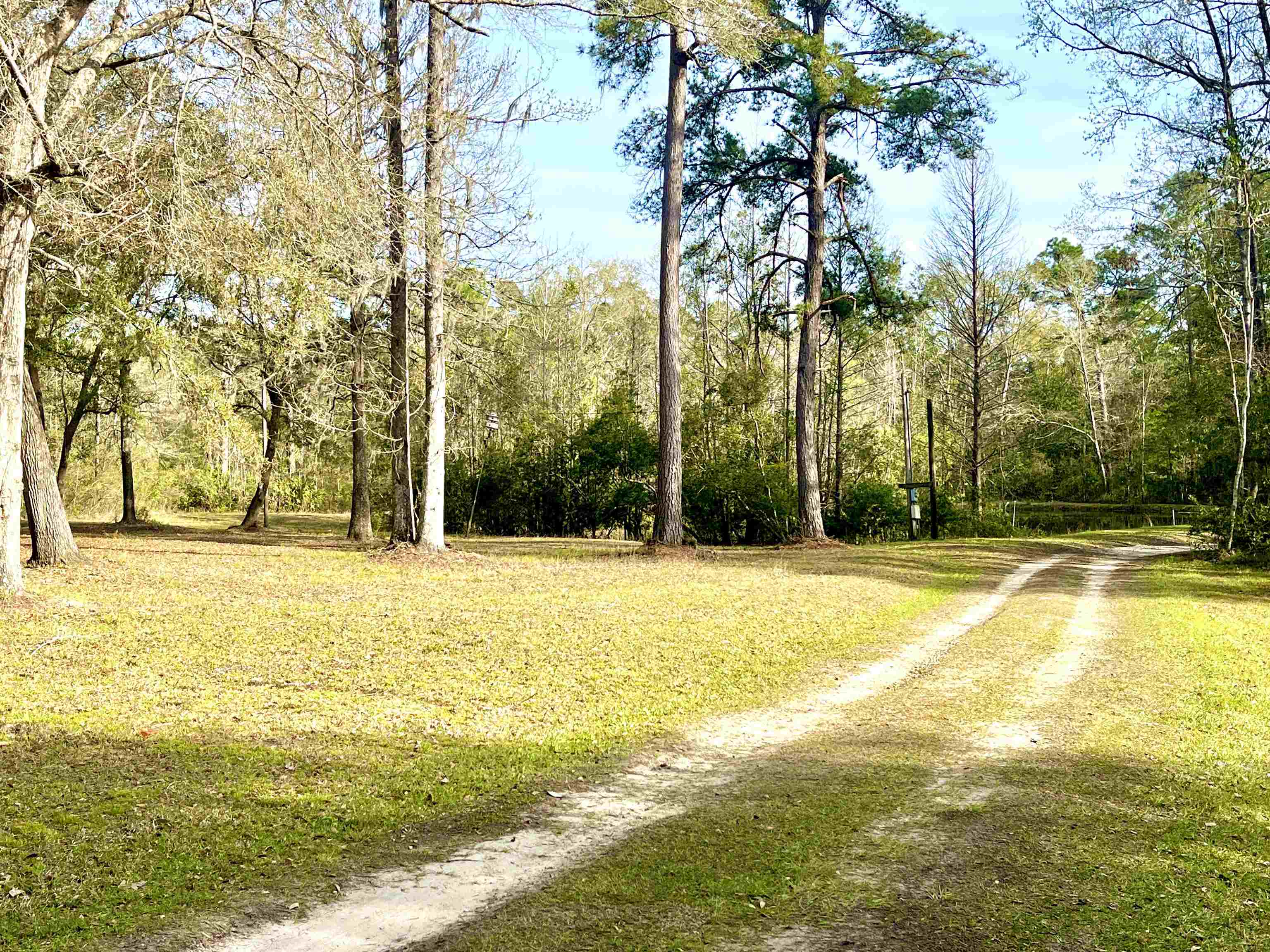460 W Osprey Lane, Monticello, Florida image 17