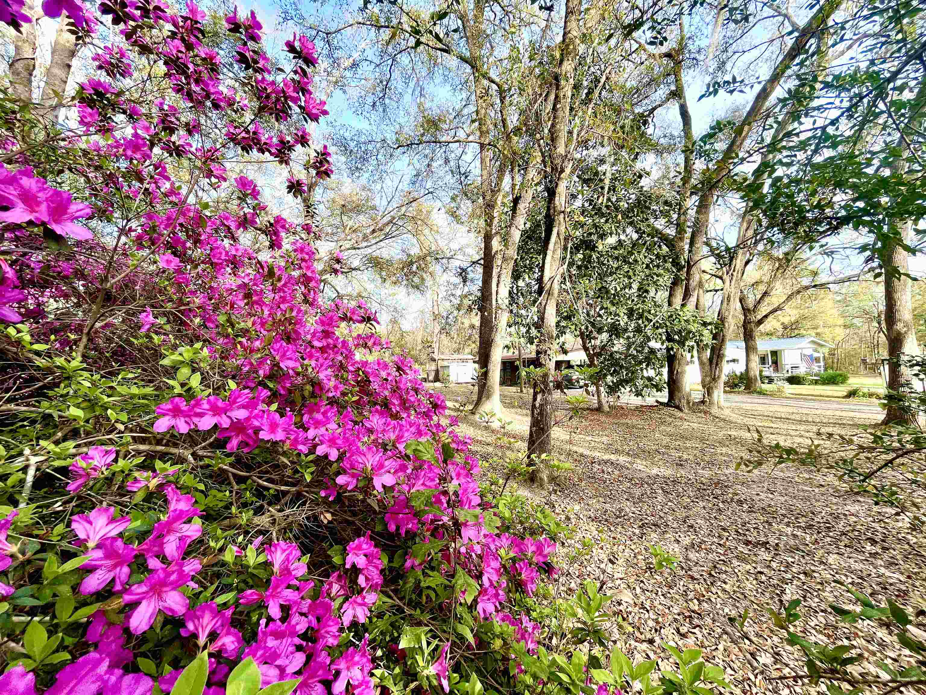 460 W Osprey Lane, Monticello, Florida image 21