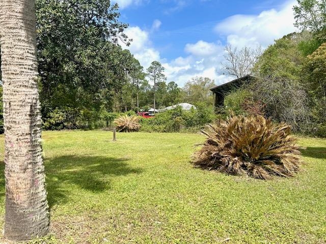 67 Yellow Jacket Ave, Sopchoppy, Florida image 27
