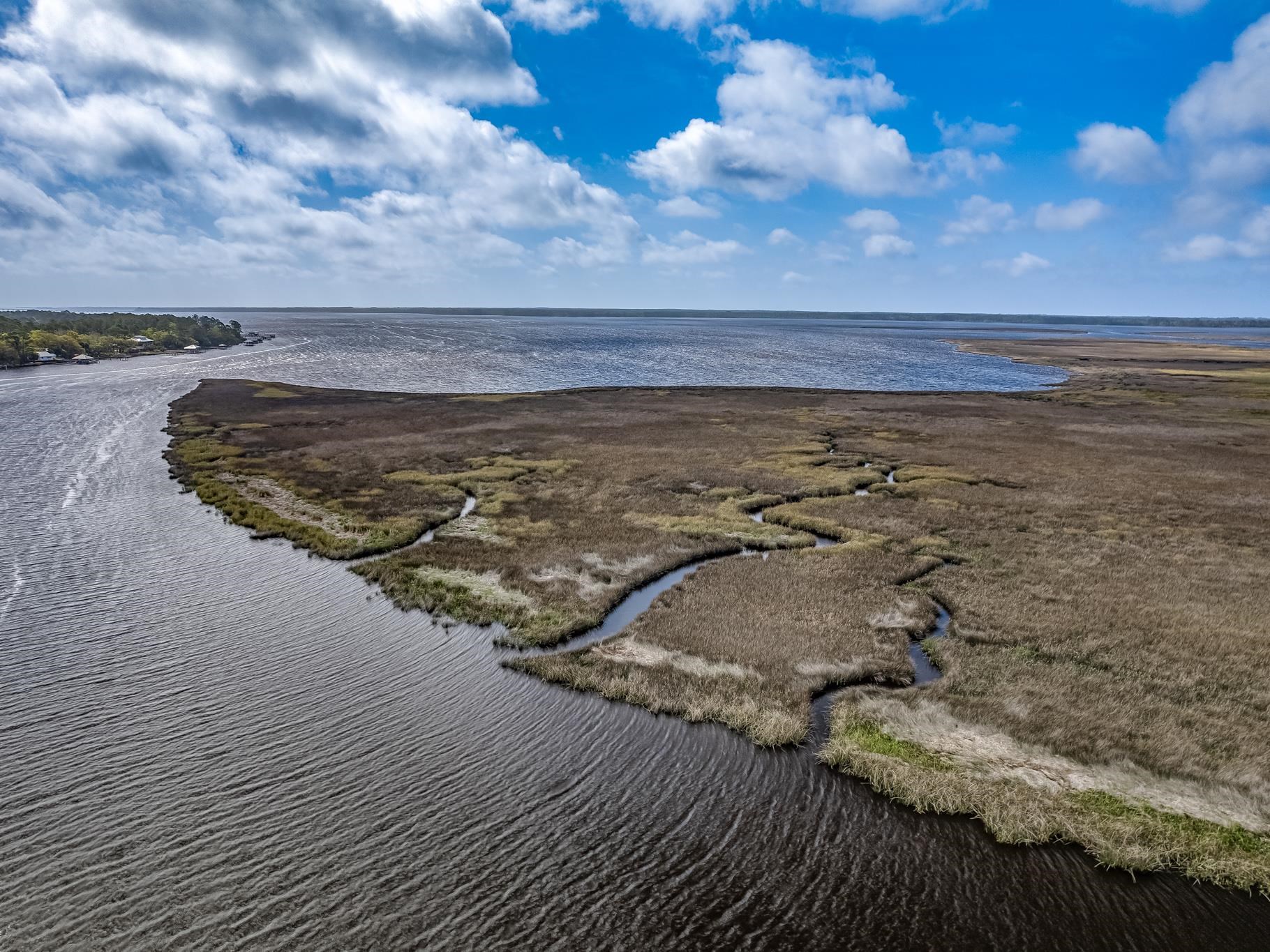Xx Surf Road, Panacea, Florida image 12