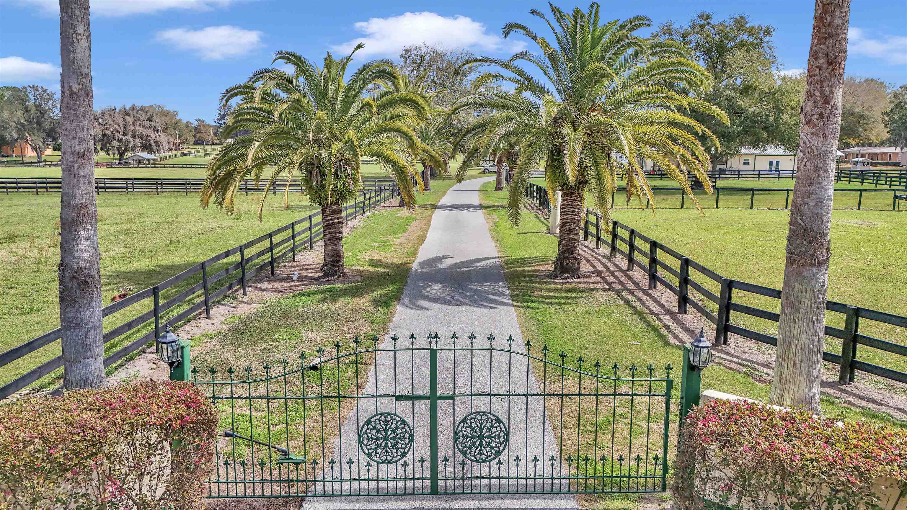 8541 SW 27th Ave Avenue, Ocala, Florida image 16