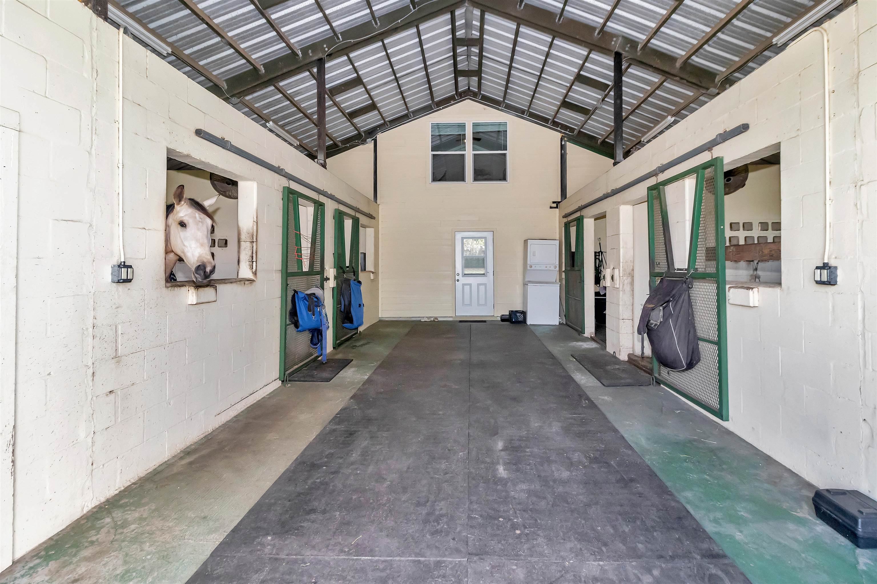 8541 SW 27th Ave Avenue, Ocala, Florida image 17