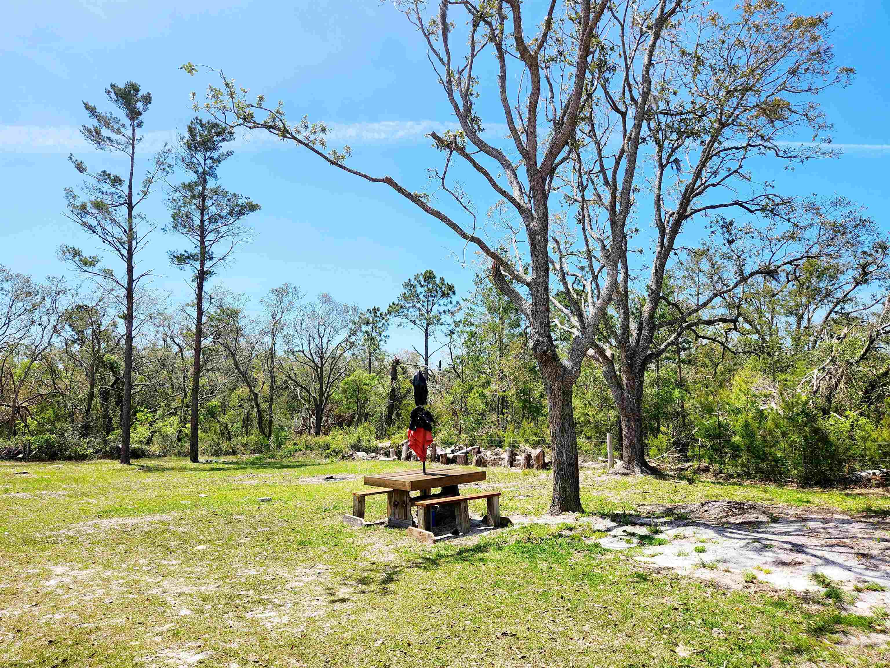 2439 Seameadows Drive, Perry, Florida image 40