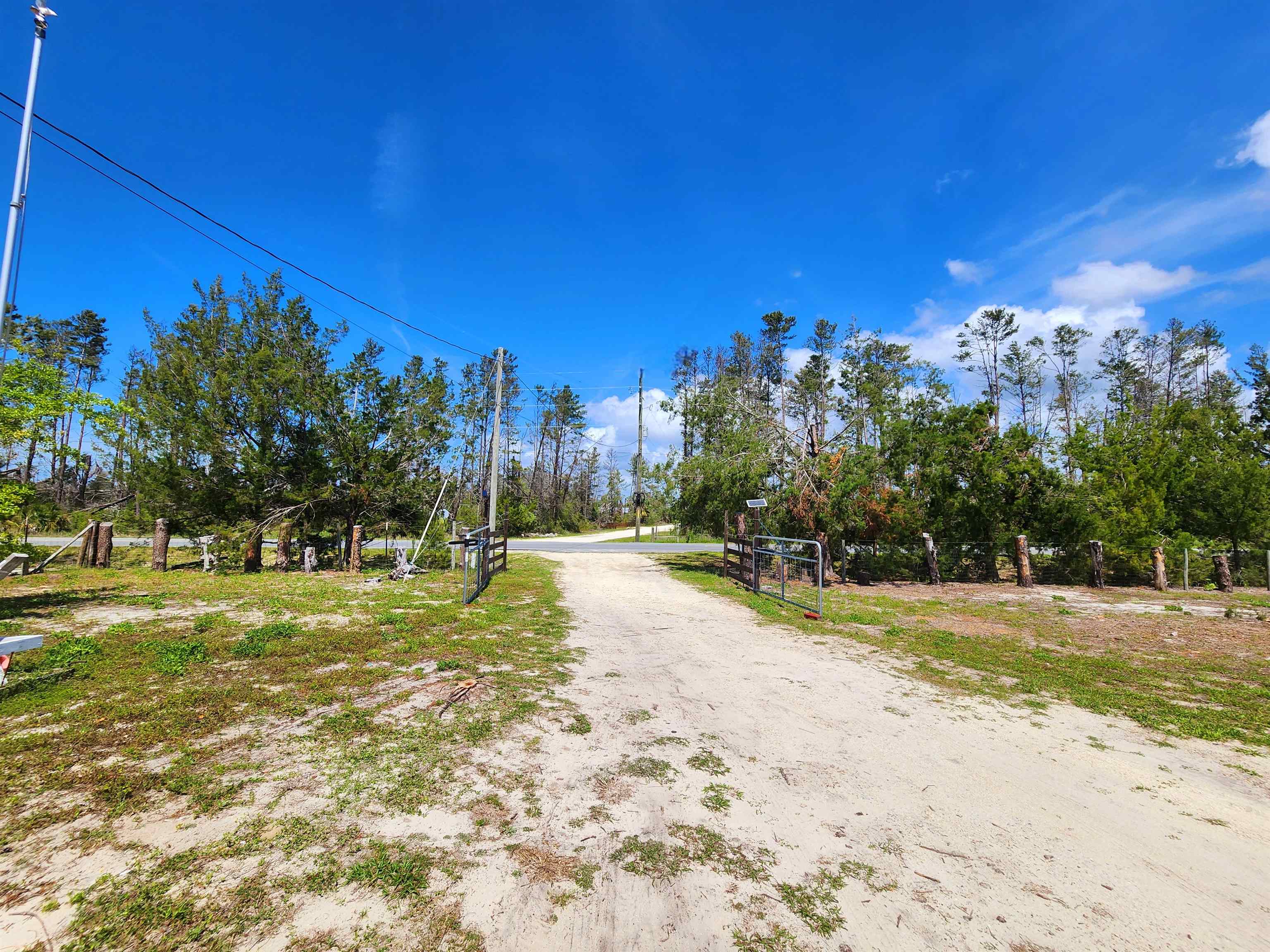 2439 Seameadows Drive, Perry, Florida image 41