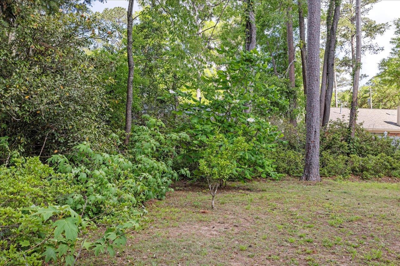 2115 Old Fort Drive, Tallahassee, Texas image 34
