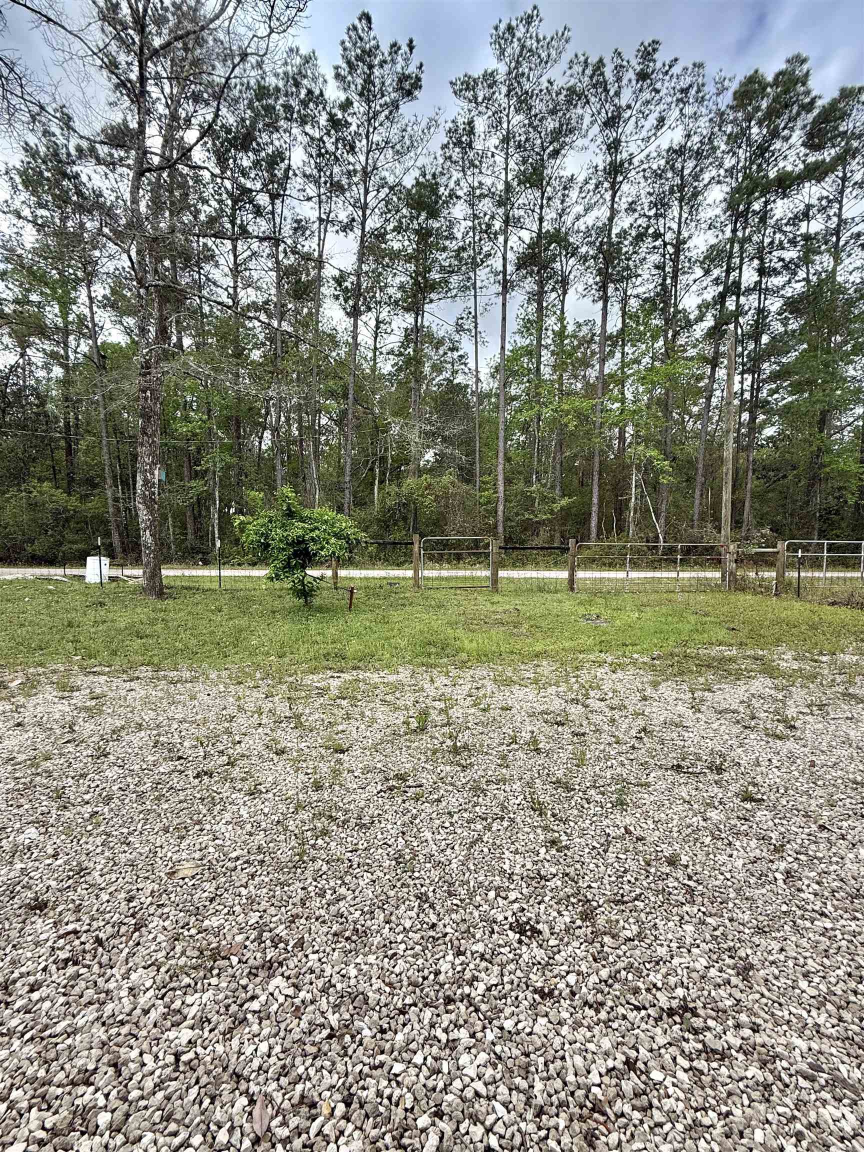 437 Seminole Lane, Sopchoppy, Texas image 27