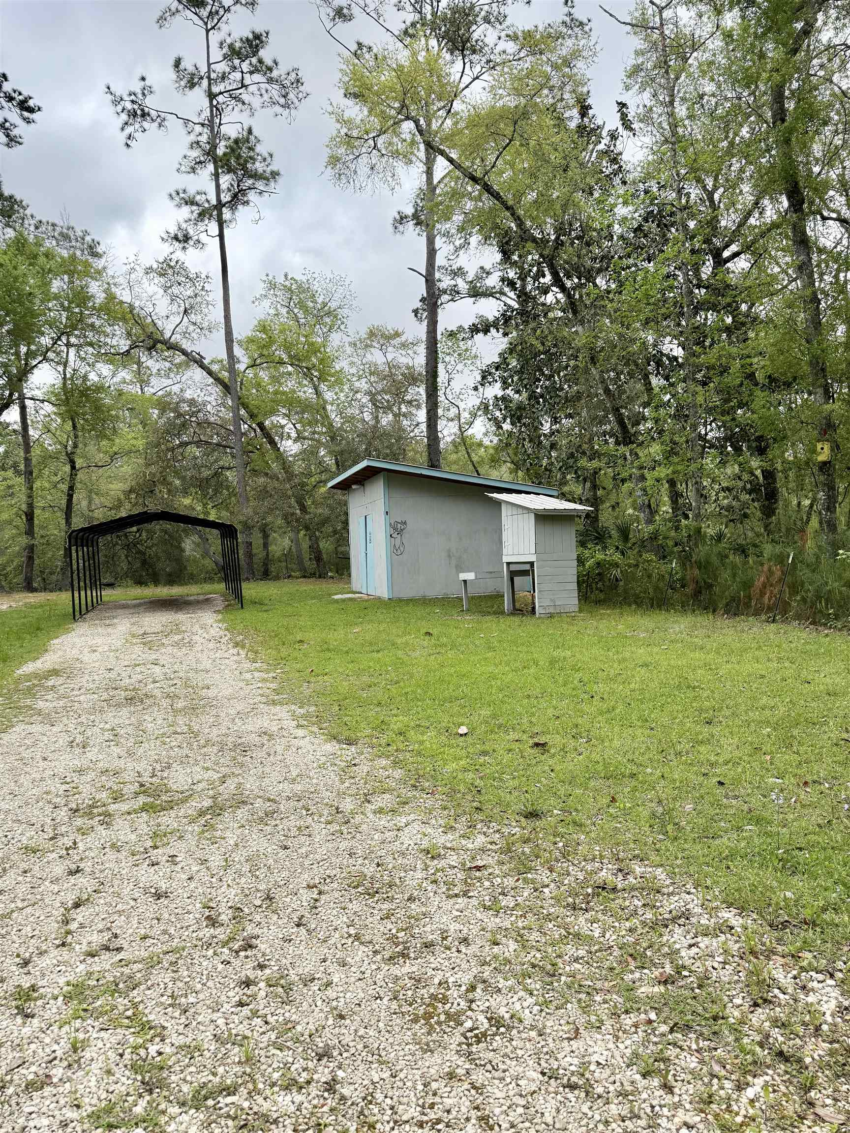 437 Seminole Lane, Sopchoppy, Texas image 28