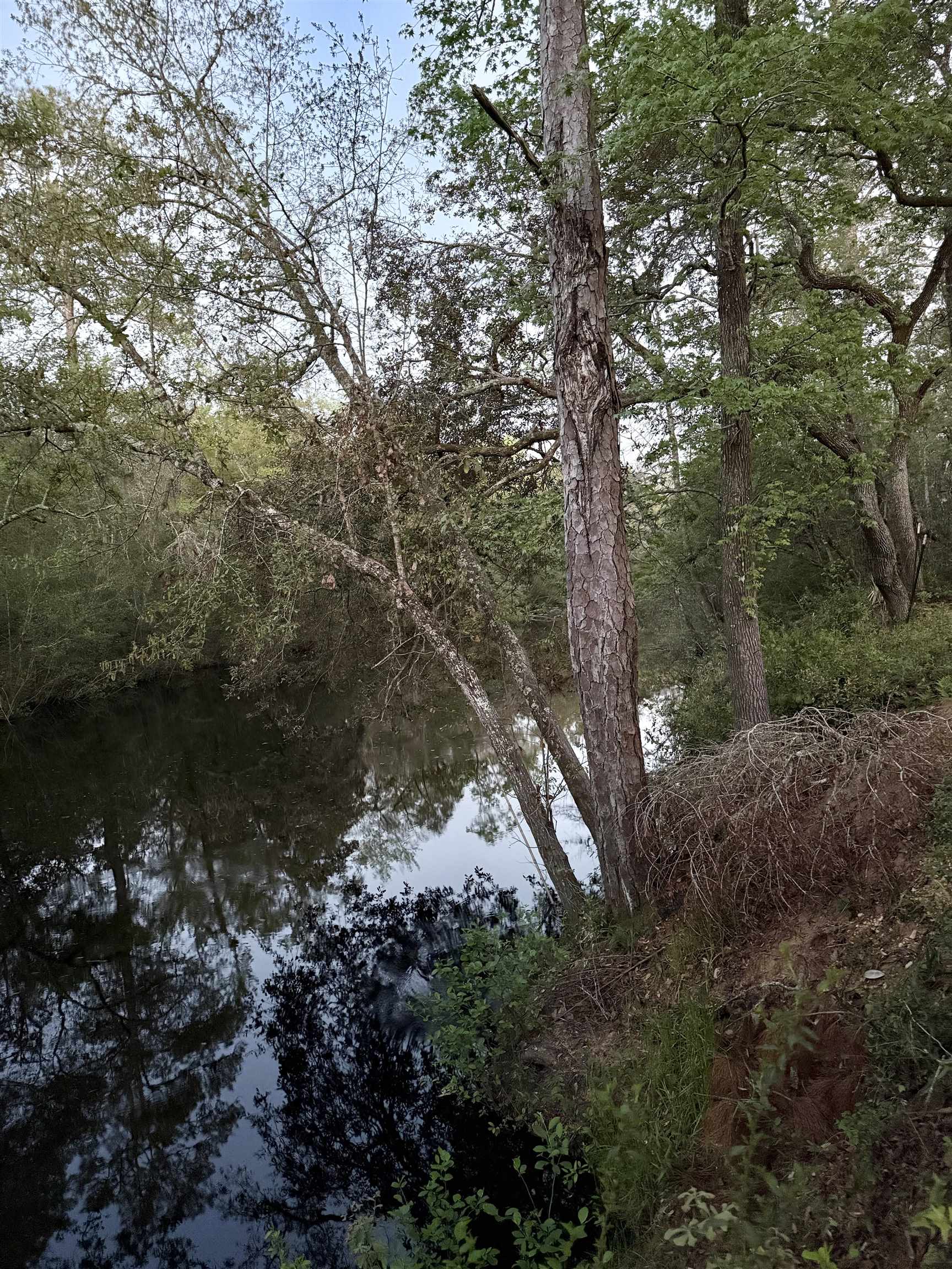 437 Seminole Lane, Sopchoppy, Texas image 31