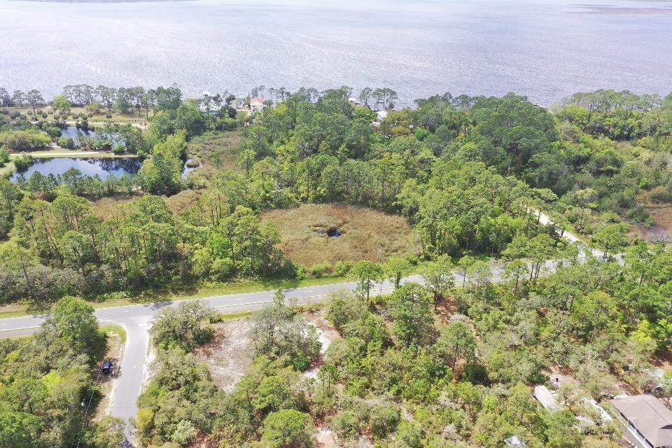XX Surf Road, Panacea, Florida image 1