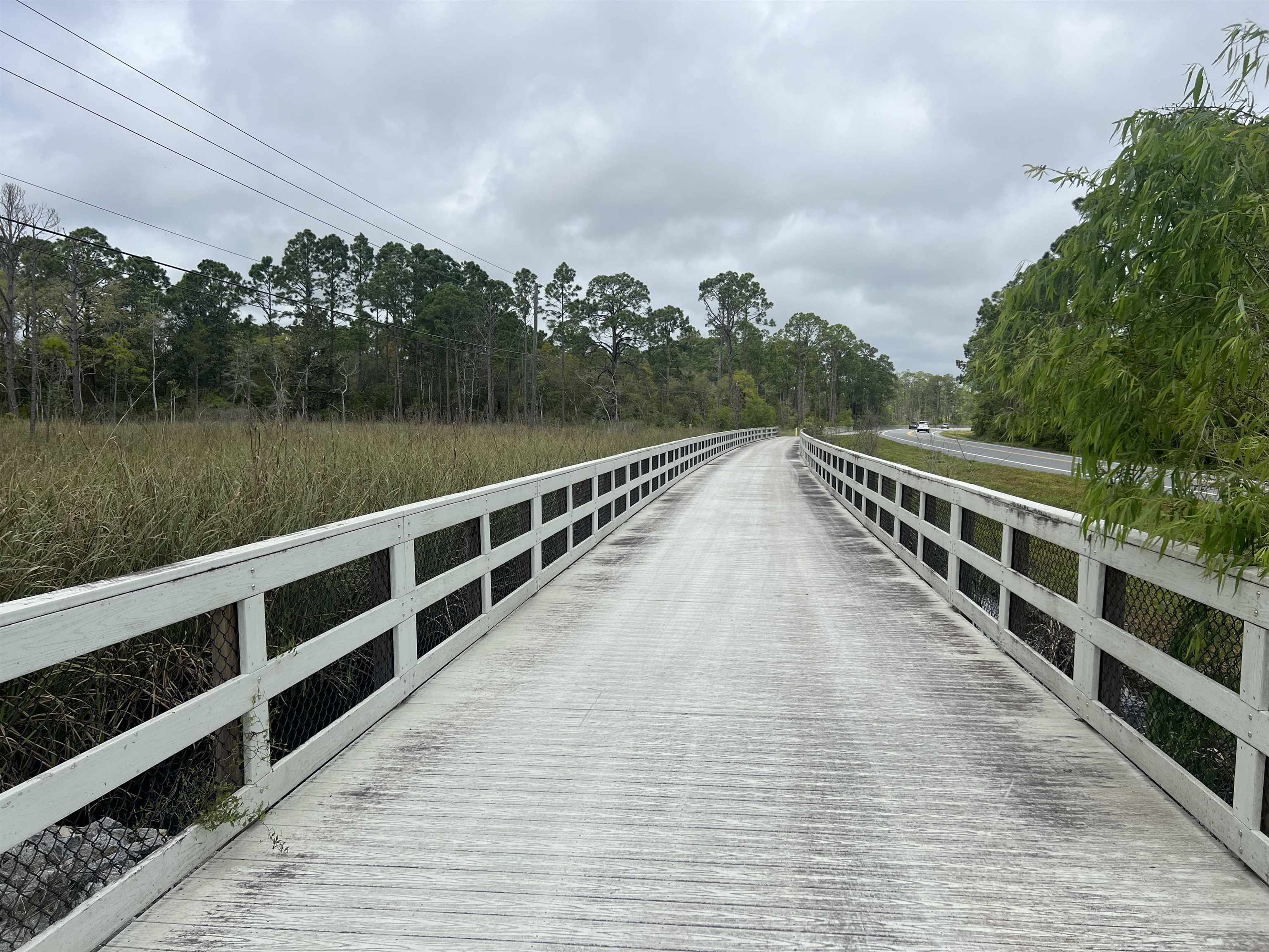 XX Surf Road, Panacea, Florida image 11