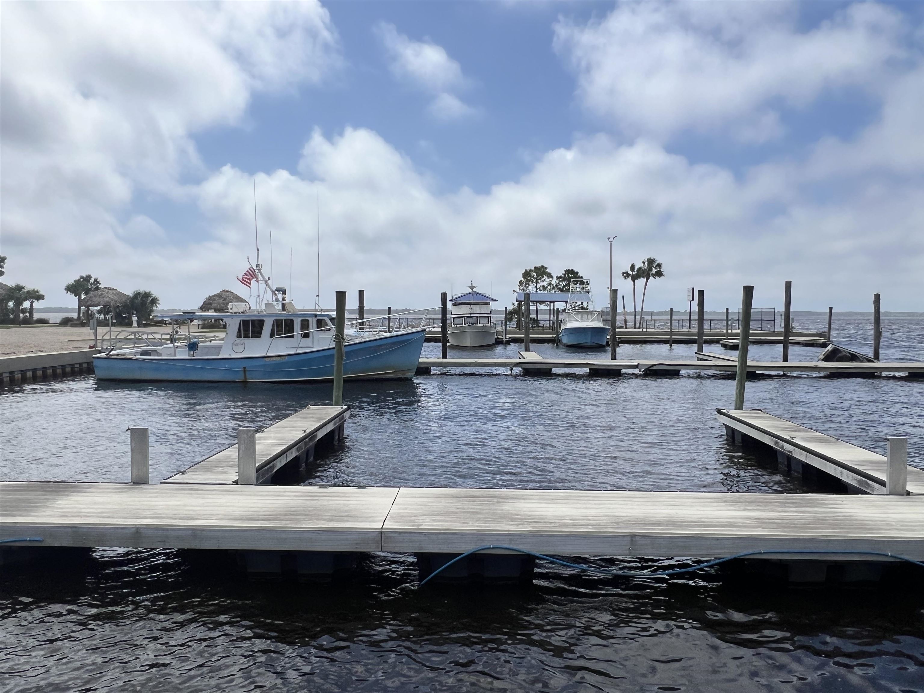 XX Surf Road, Panacea, Florida image 13
